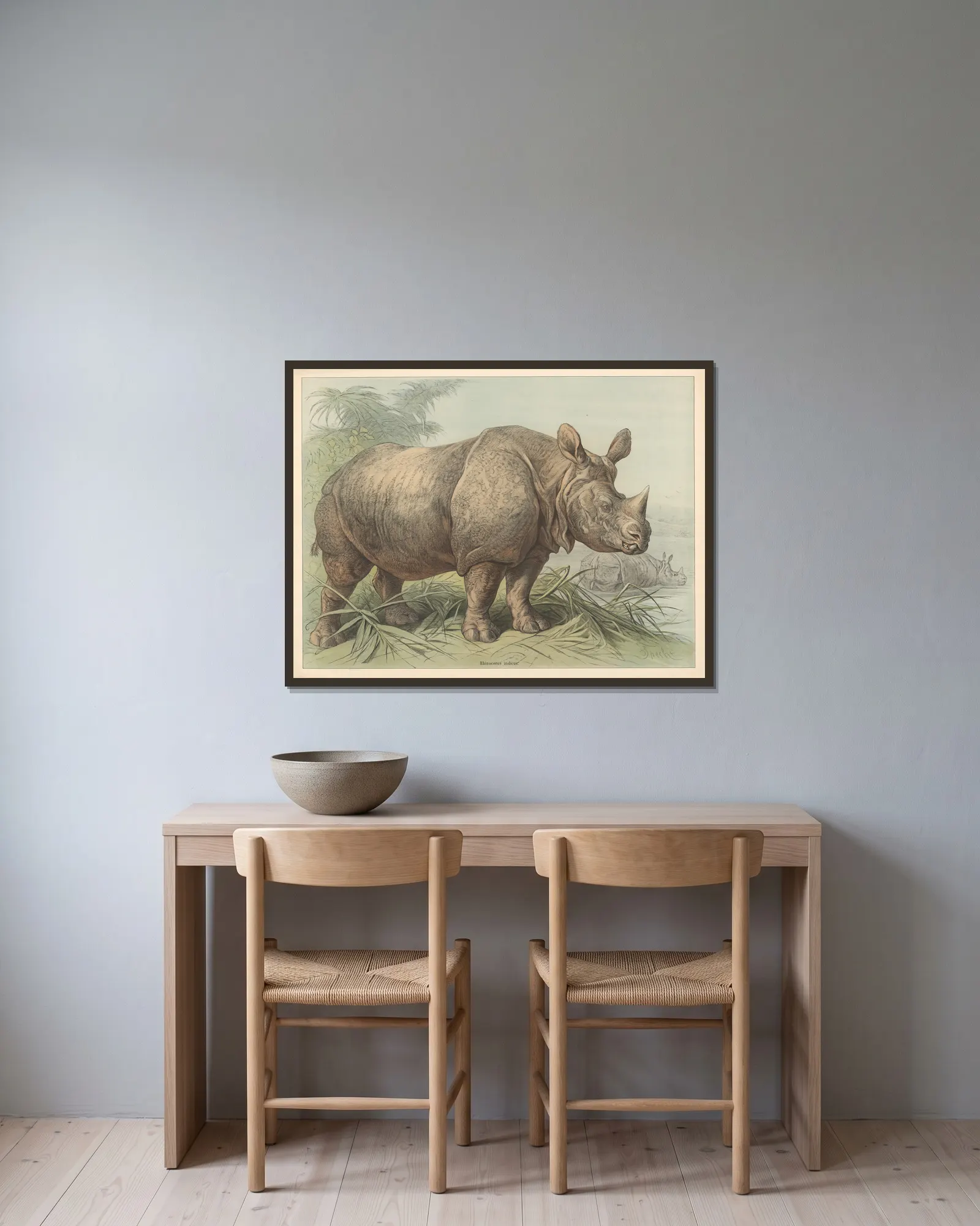 Rhinoceros indicus av Friedrich Specht inramad på en vägg
