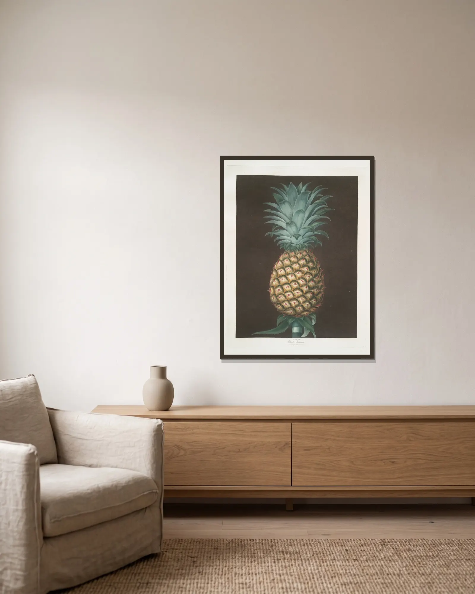 Black Jamaica (Pineapple). av George Brookshaw inramad på en vägg