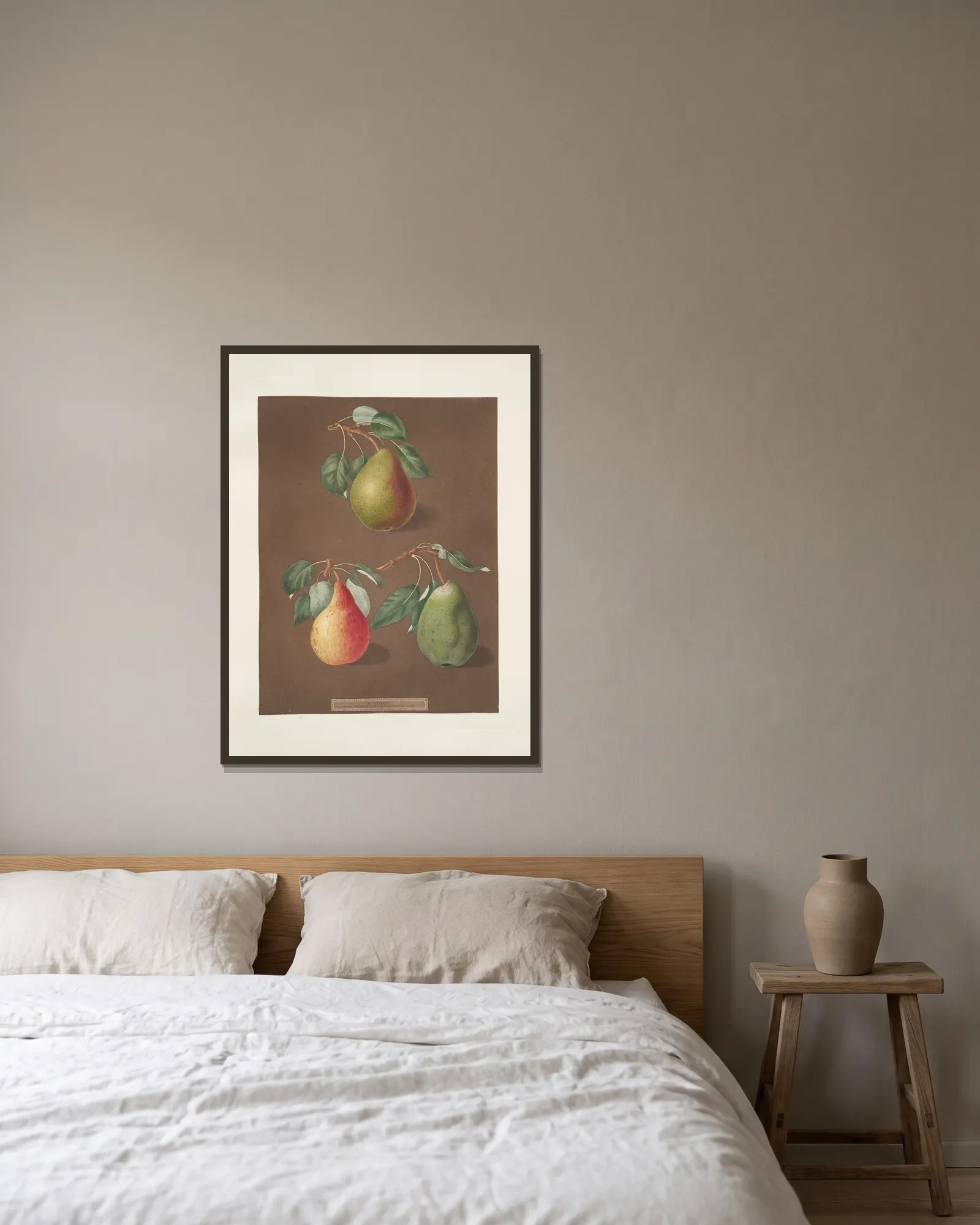 Pears (Brown beurree, Golden beurree and the Colmar varities). av George Brookshaw inramad på en vägg