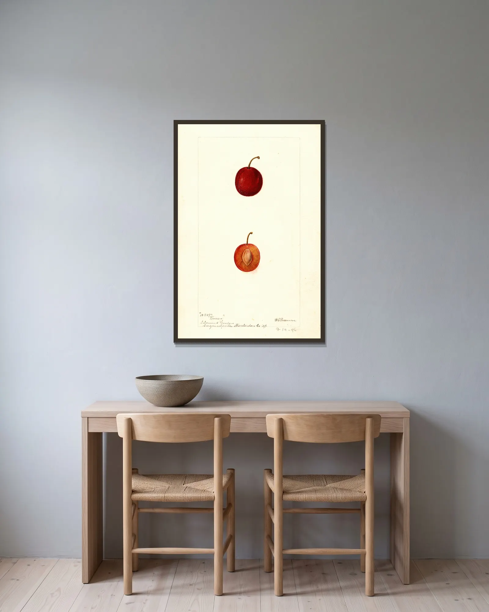Prunus domestica: Warren av Deborah Griscom Passmore inramad på en vägg
