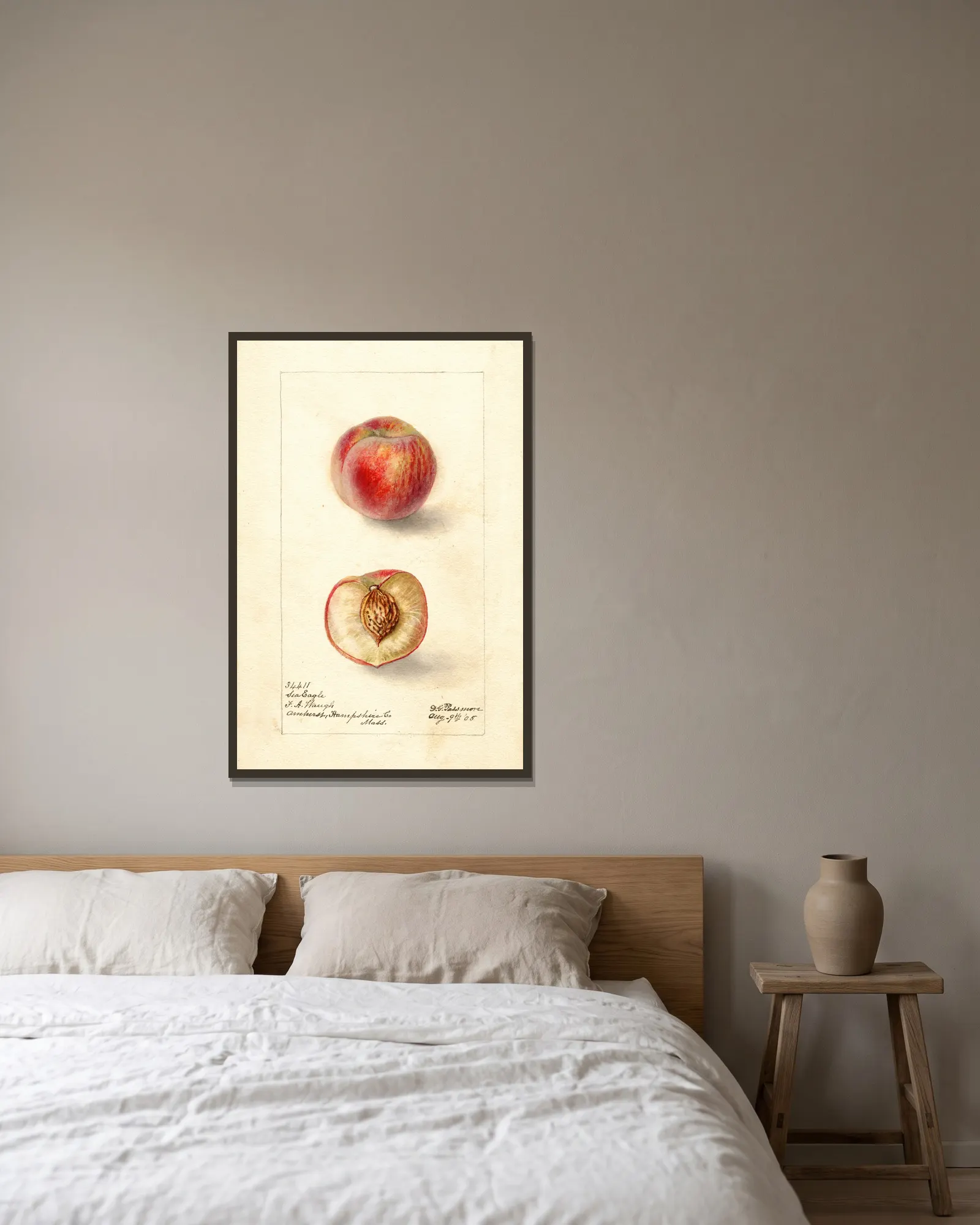 Prunus persica: Sea Eagle av Deborah Griscom Passmore inramad på en vägg