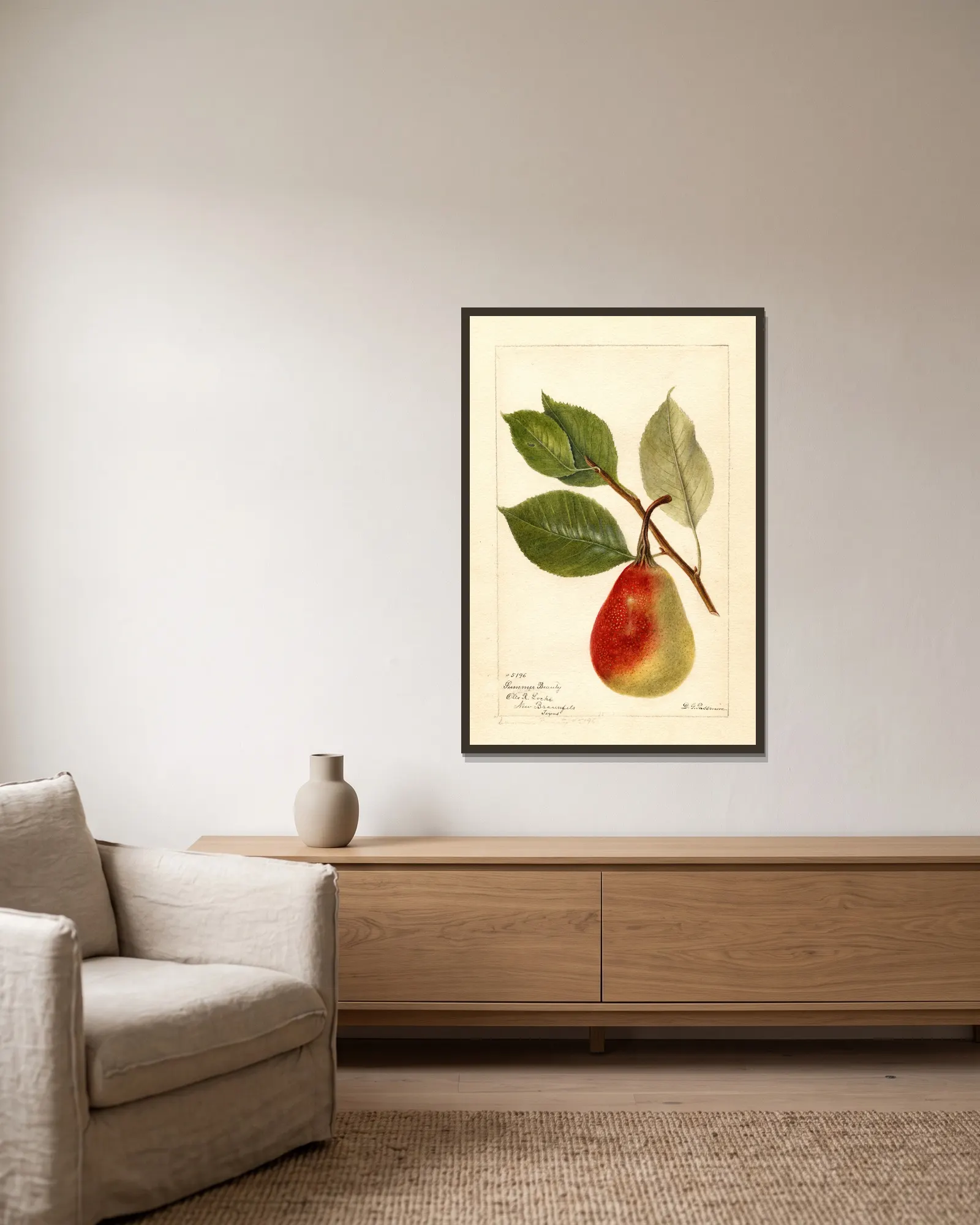 Pyrus communis: Summer Beauty av Deborah Griscom Passmore inramad på en vägg
