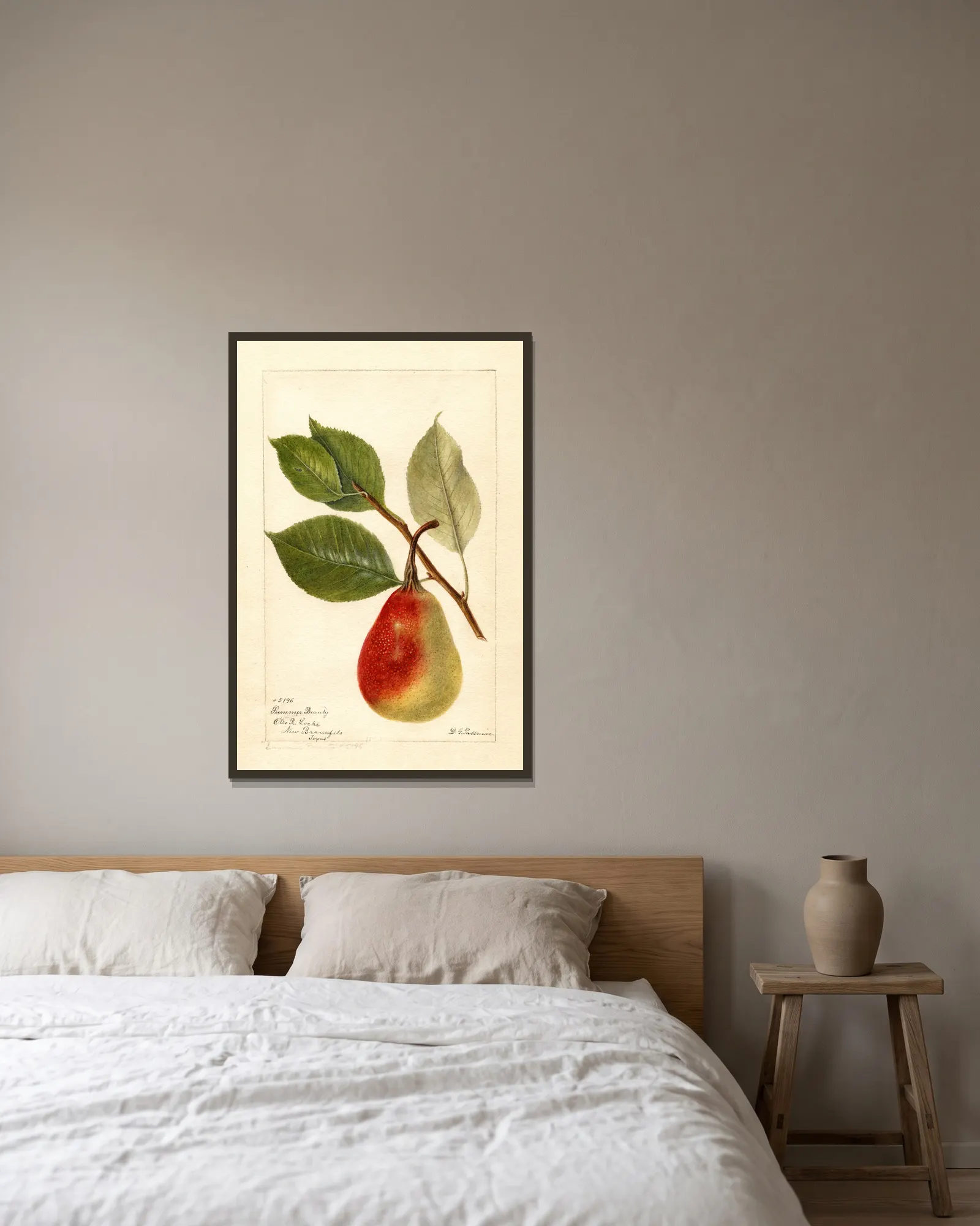 Pyrus communis: Summer Beauty av Deborah Griscom Passmore inramad på en vägg