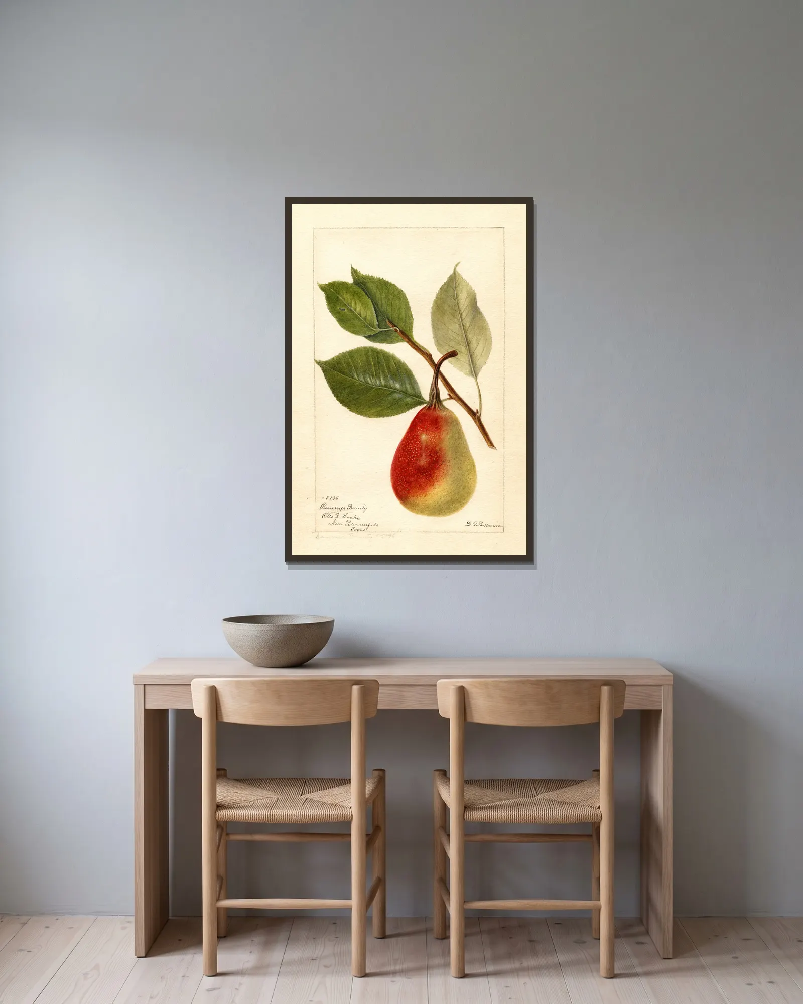 Pyrus communis: Summer Beauty av Deborah Griscom Passmore inramad på en vägg