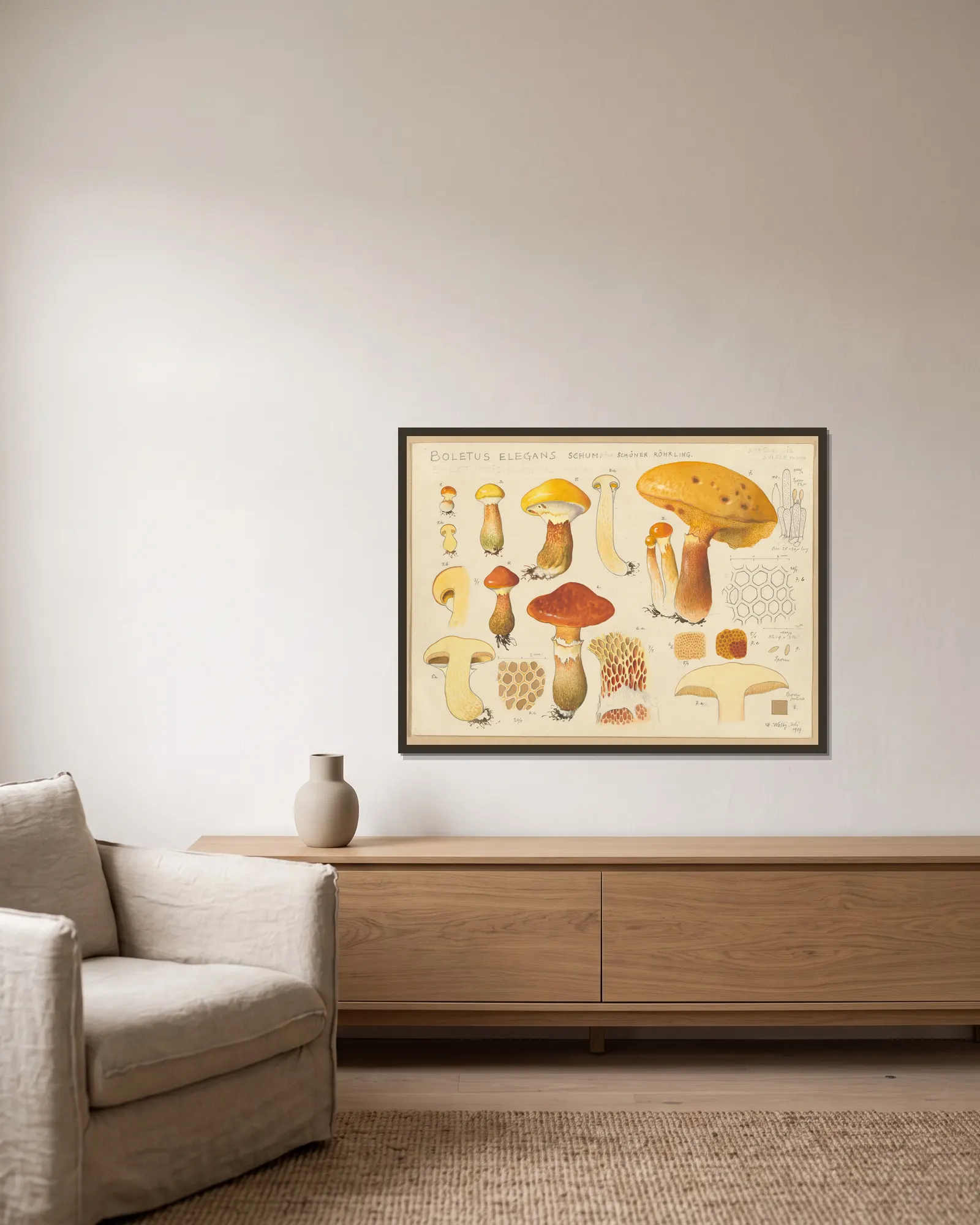 Boletus elegans Schum. av Hans Walty inramad på en vägg