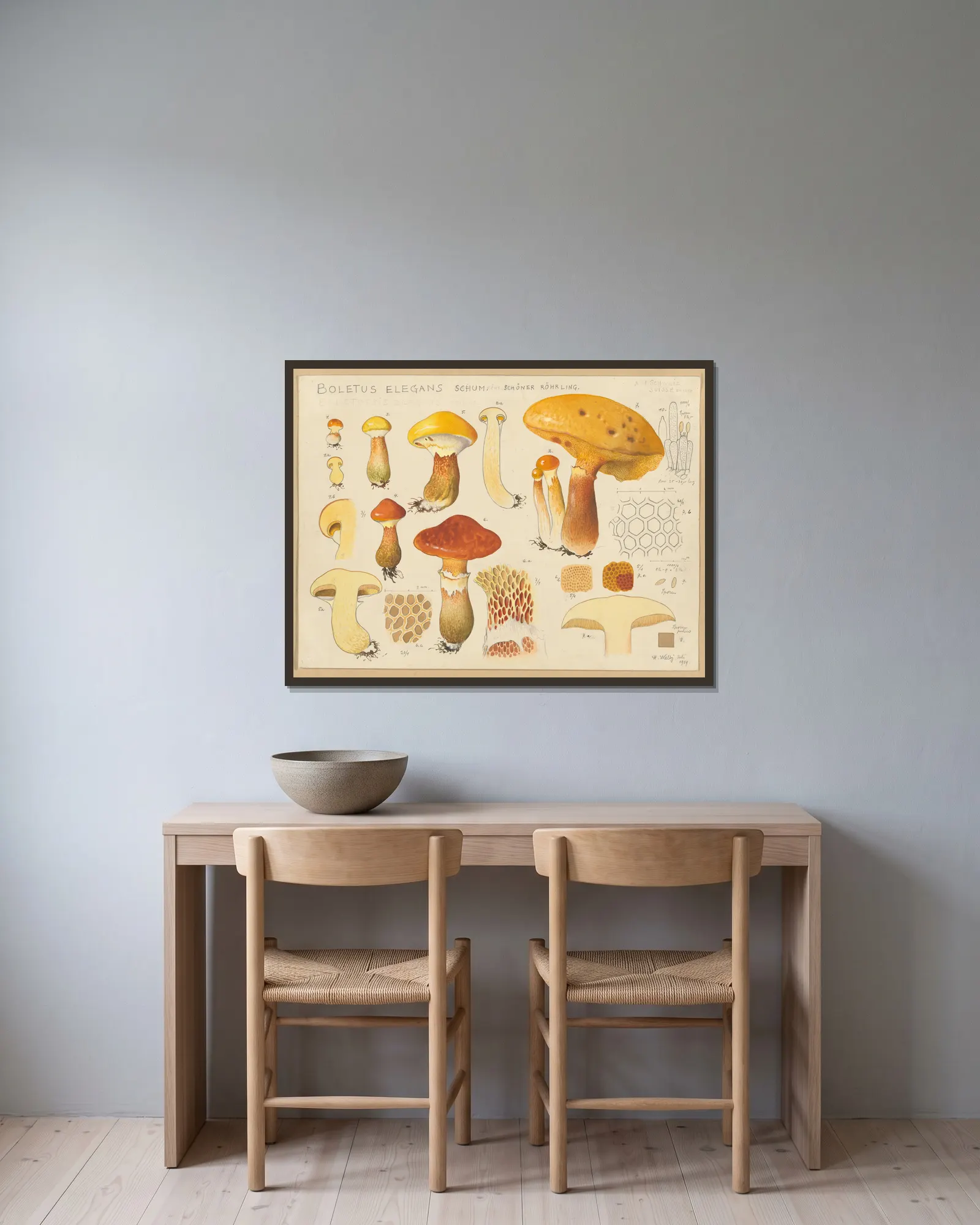 Boletus elegans Schum. av Hans Walty inramad på en vägg