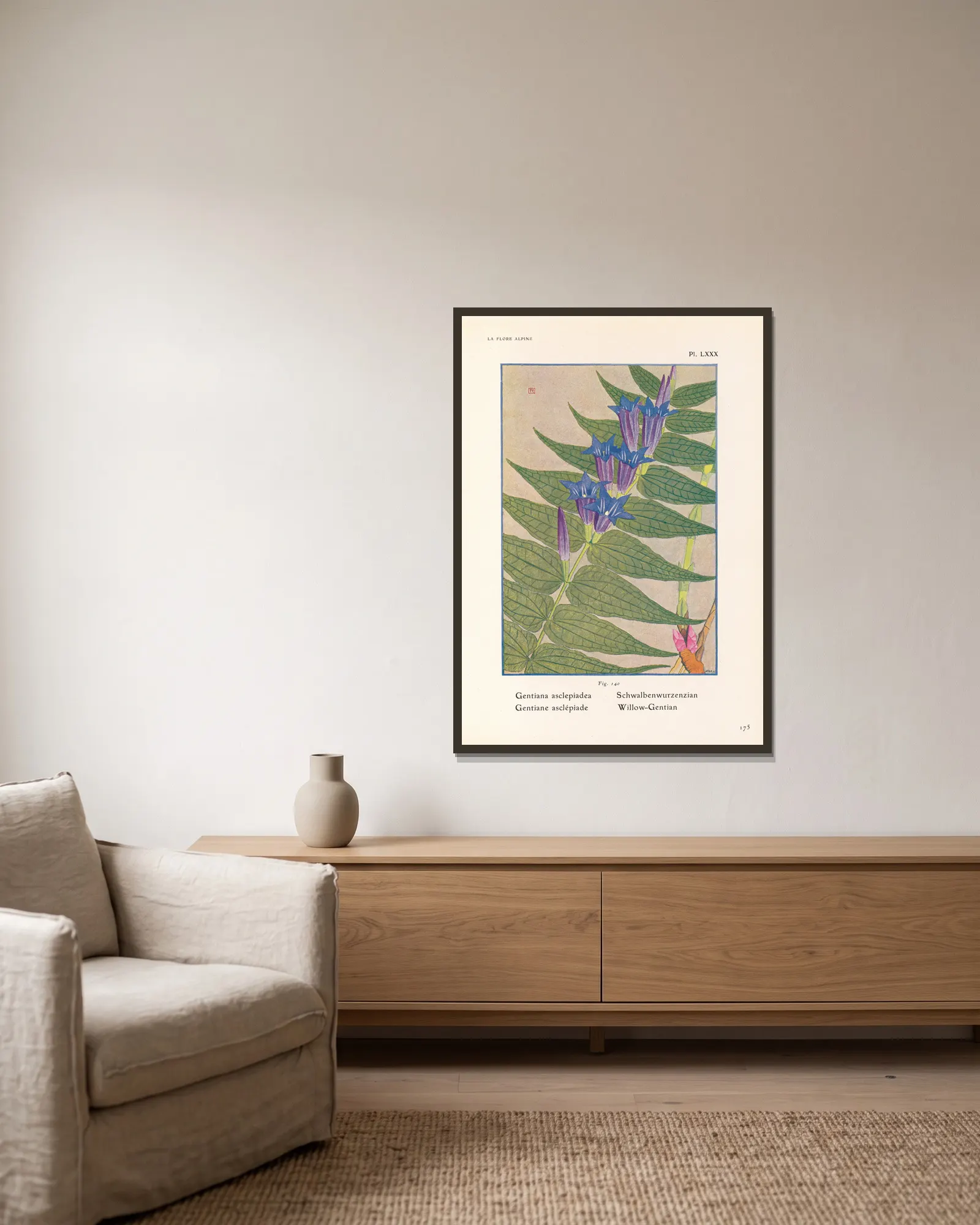Willow-Gentian av Henry Correvon inramad på en vägg