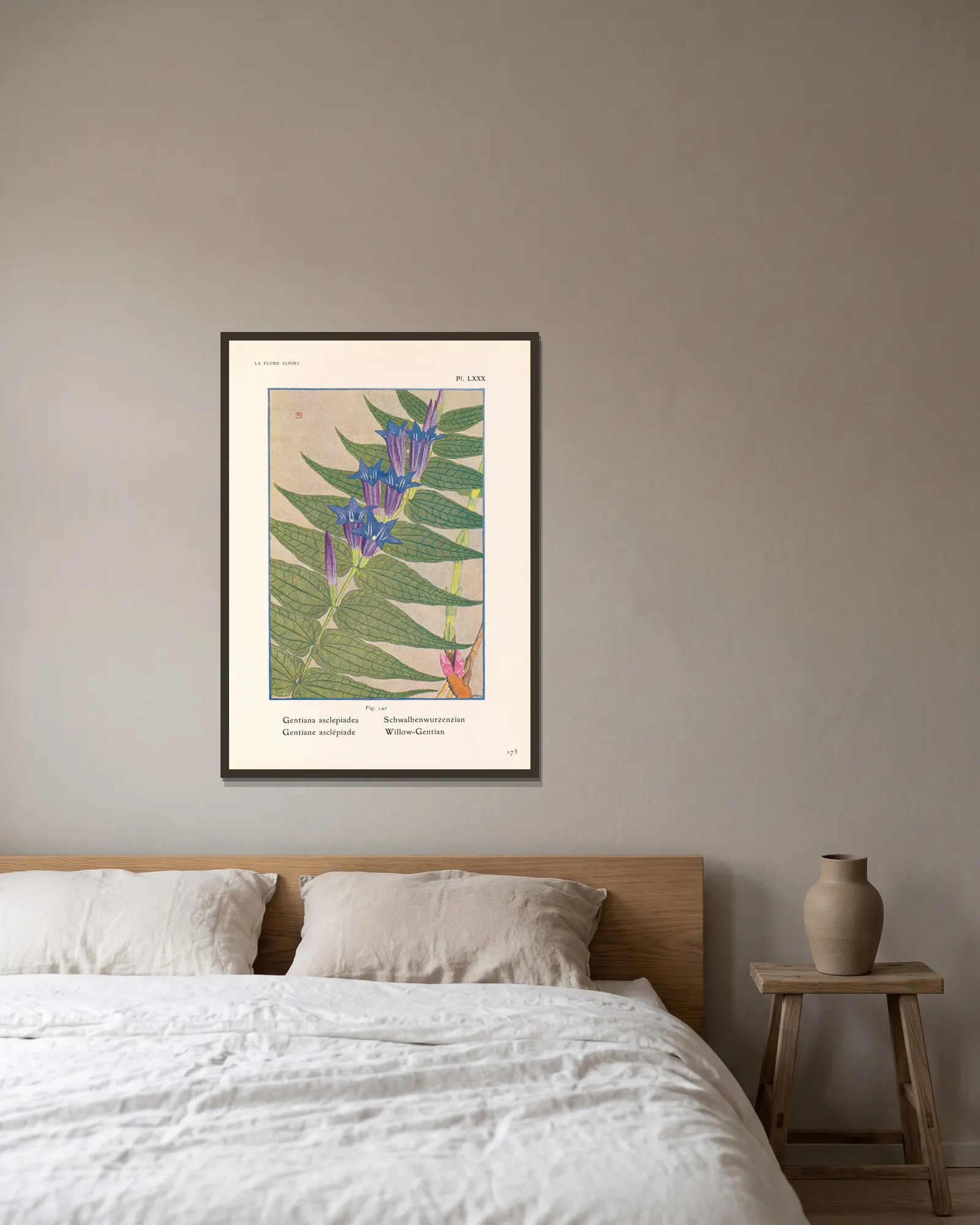 Willow-Gentian av Henry Correvon inramad på en vägg