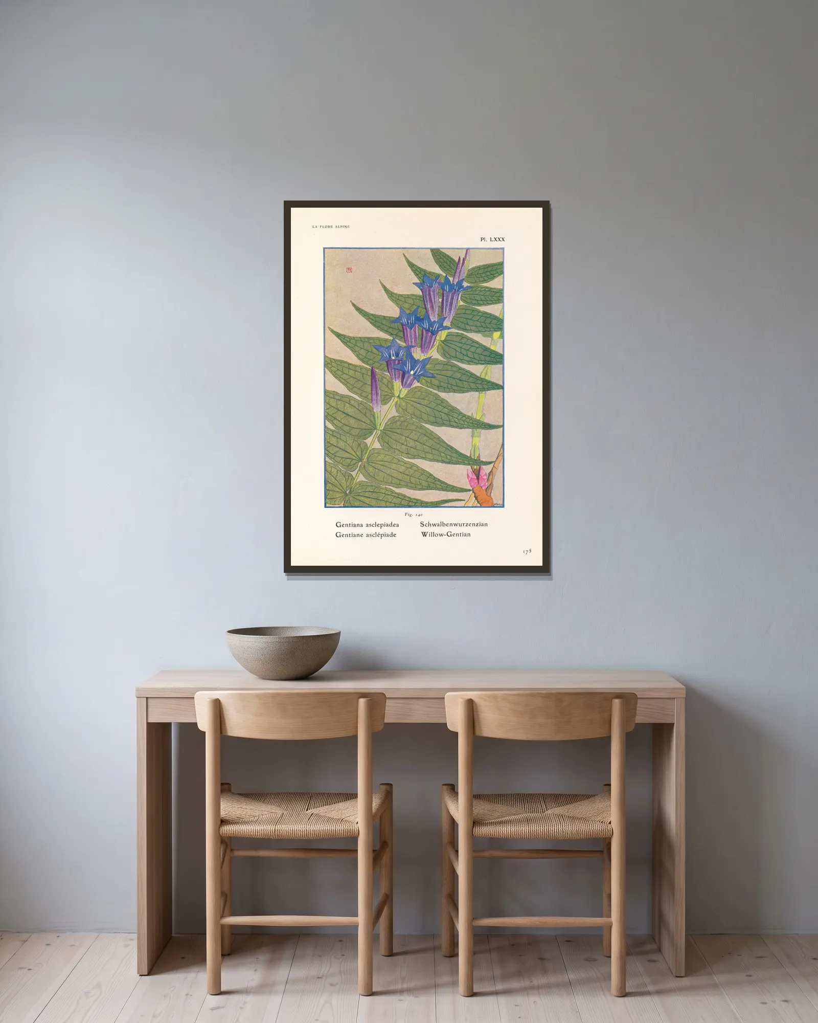 Willow-Gentian av Henry Correvon inramad på en vägg