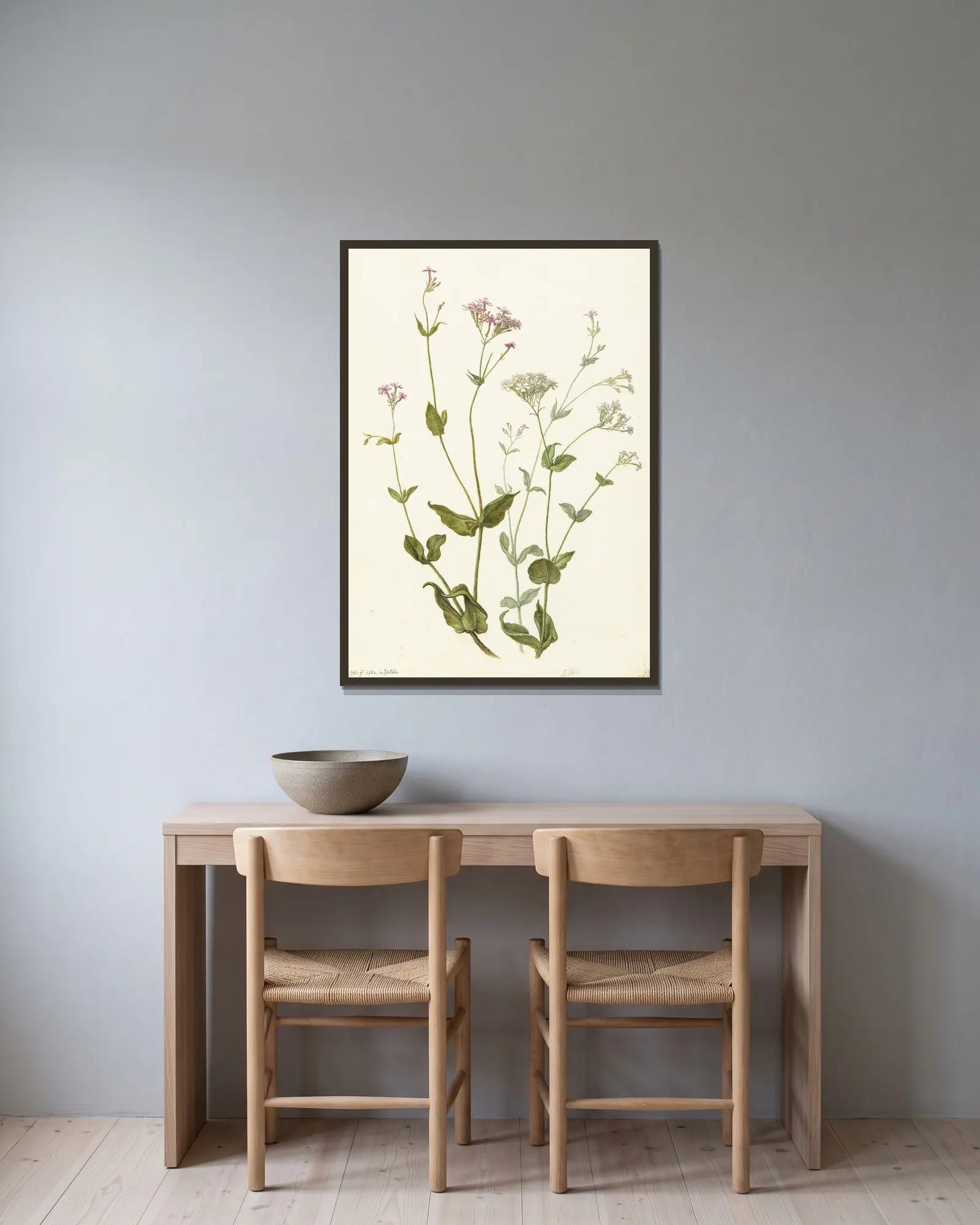 Bladder Senna and Sticky Catchfly av Herman Saftleven inramad på en vägg