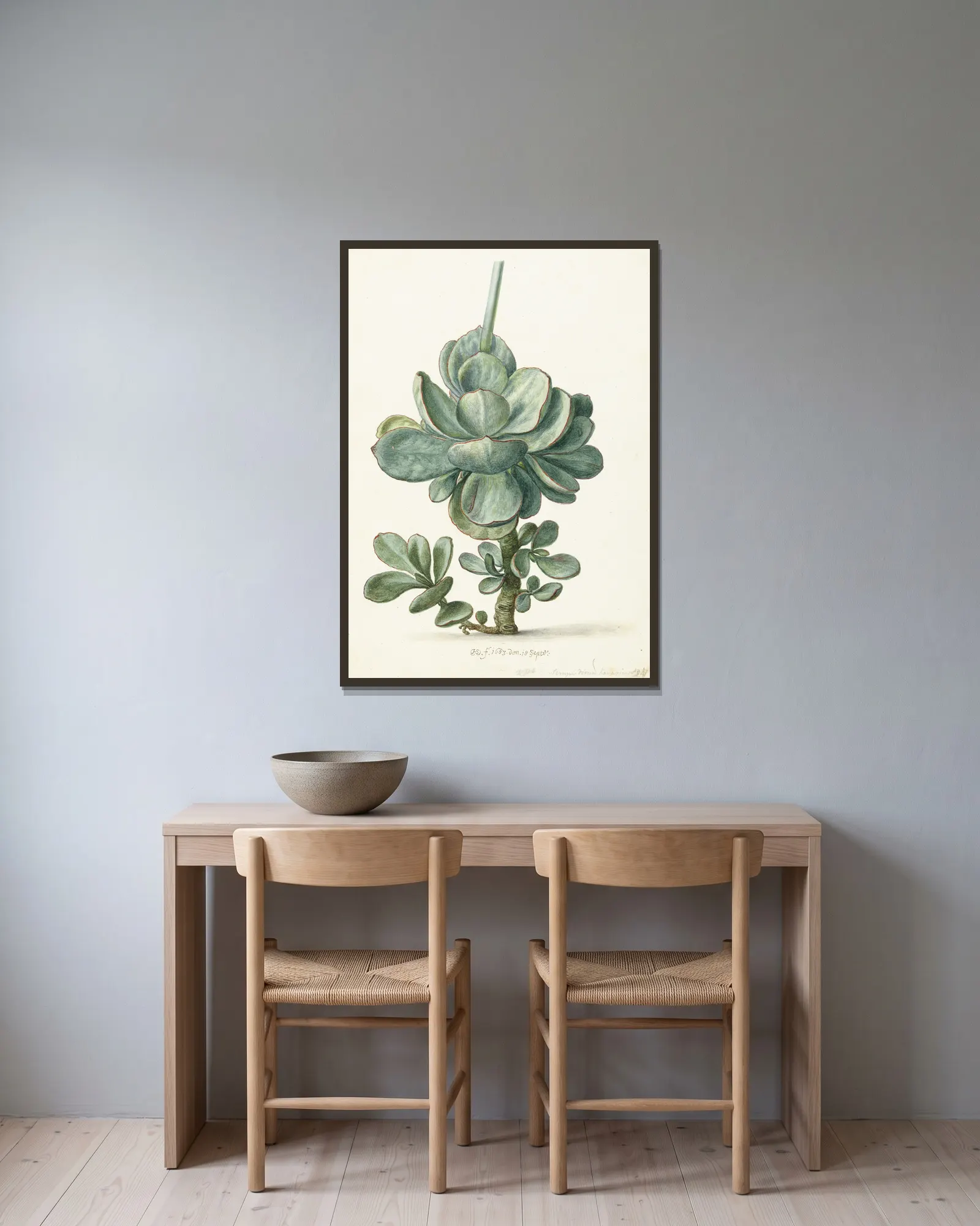 Vetplant (Cotyledon orbiculata) av Herman Saftleven inramad på en vägg