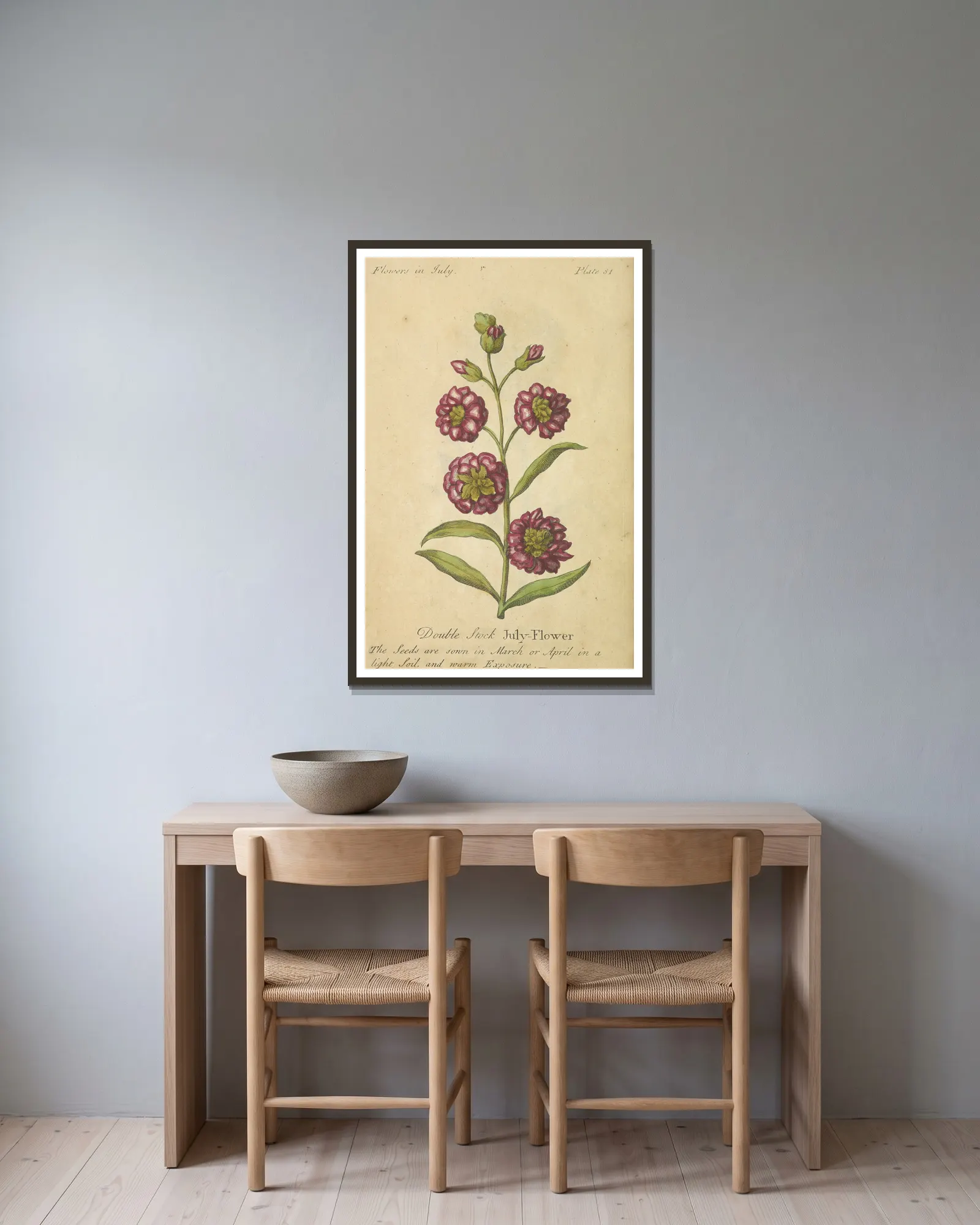 Double Stock July-Flower av J. Duke inramad på en vägg
