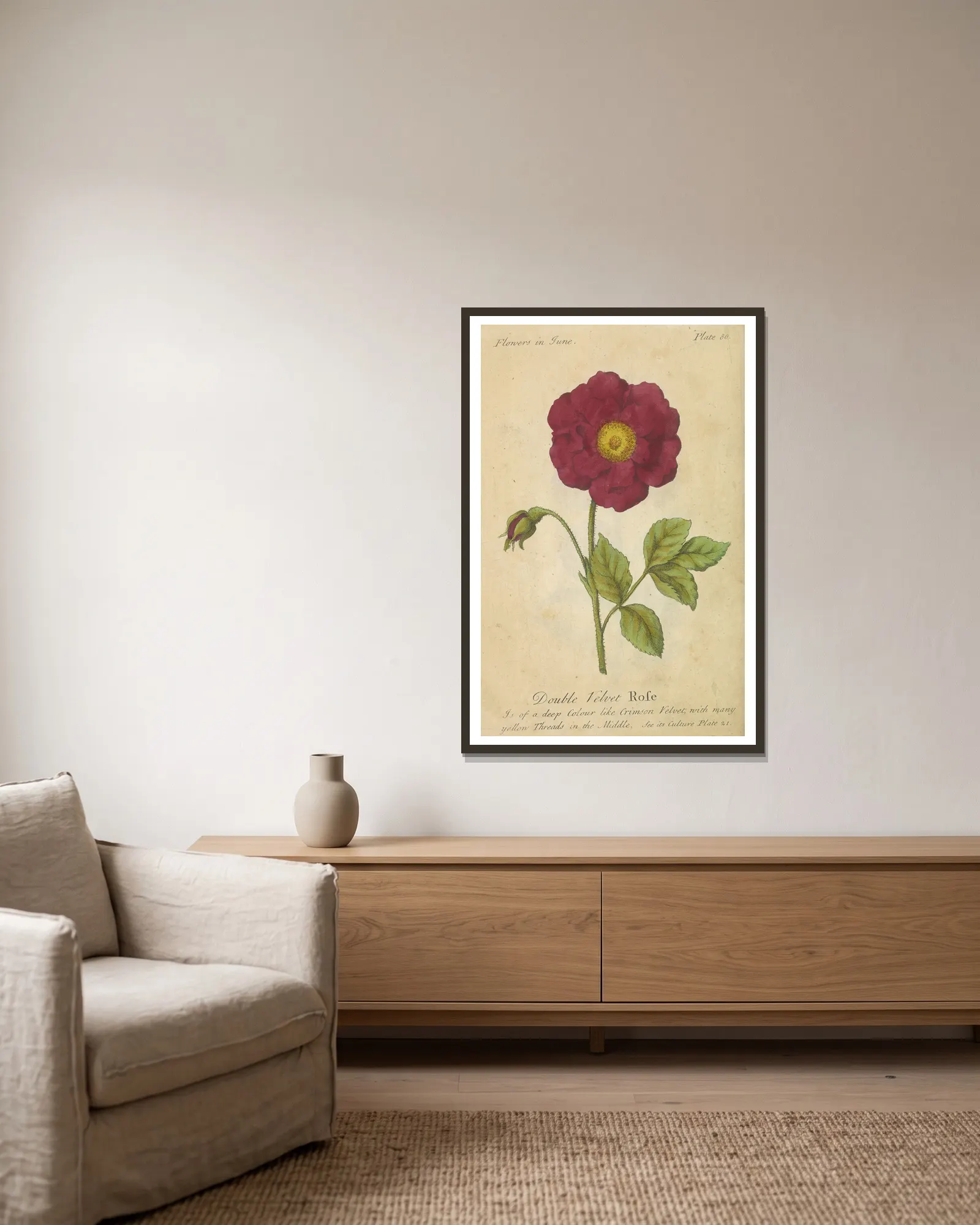 Double Velvet Rose av J. Duke inramad på en vägg