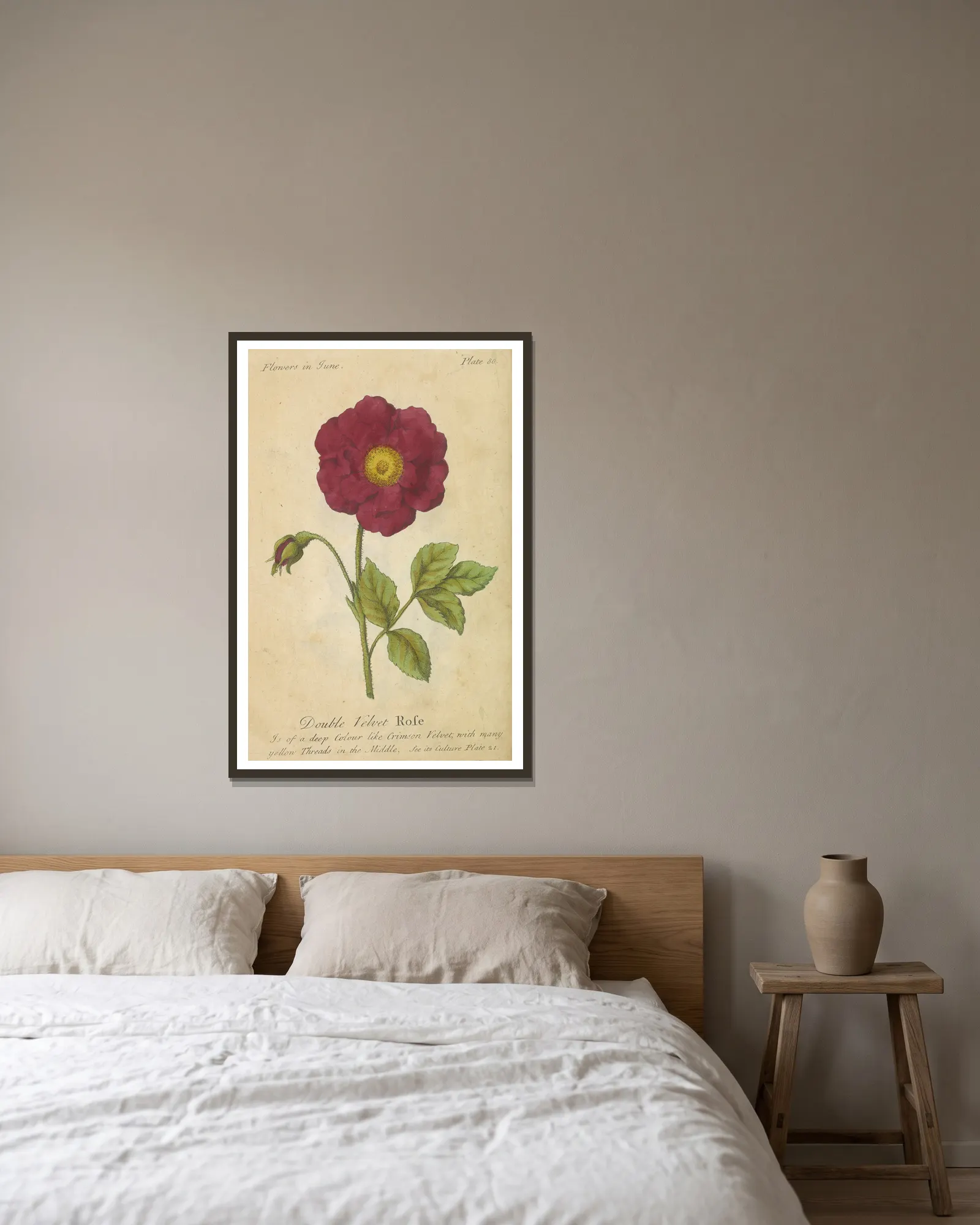 Double Velvet Rose av J. Duke inramad på en vägg