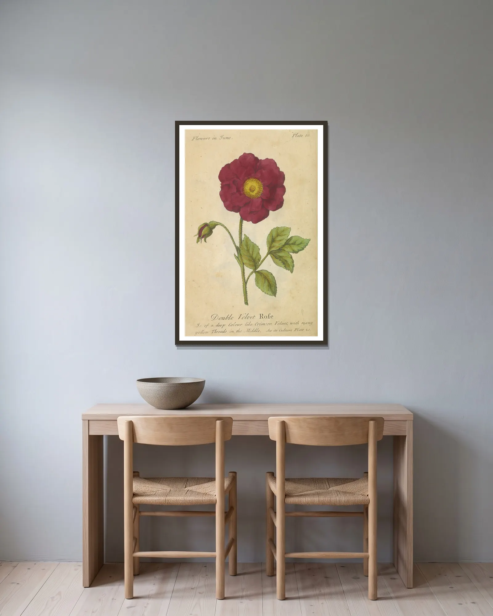 Double Velvet Rose av J. Duke inramad på en vägg