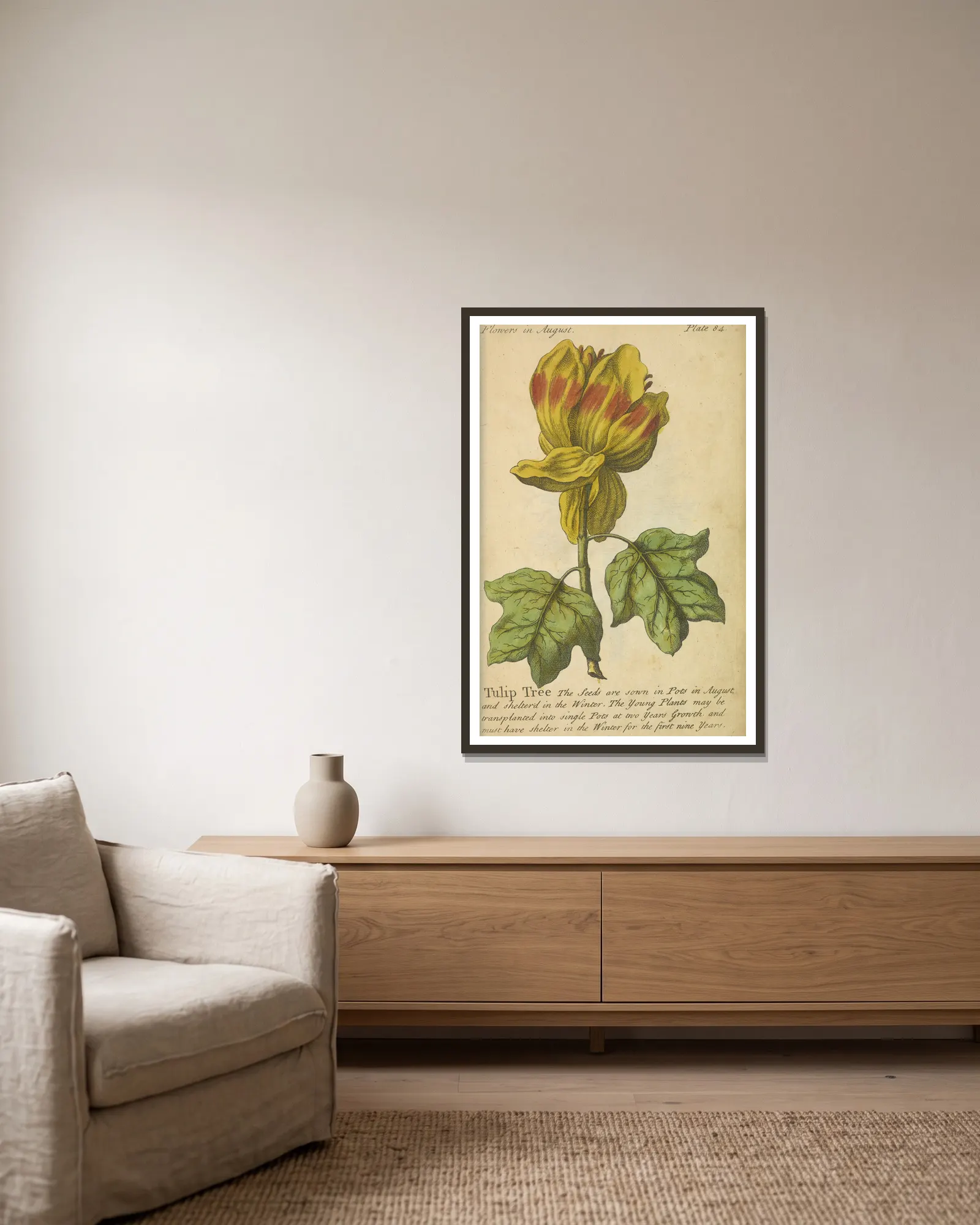 Tulip Tree av J. Duke inramad på en vägg
