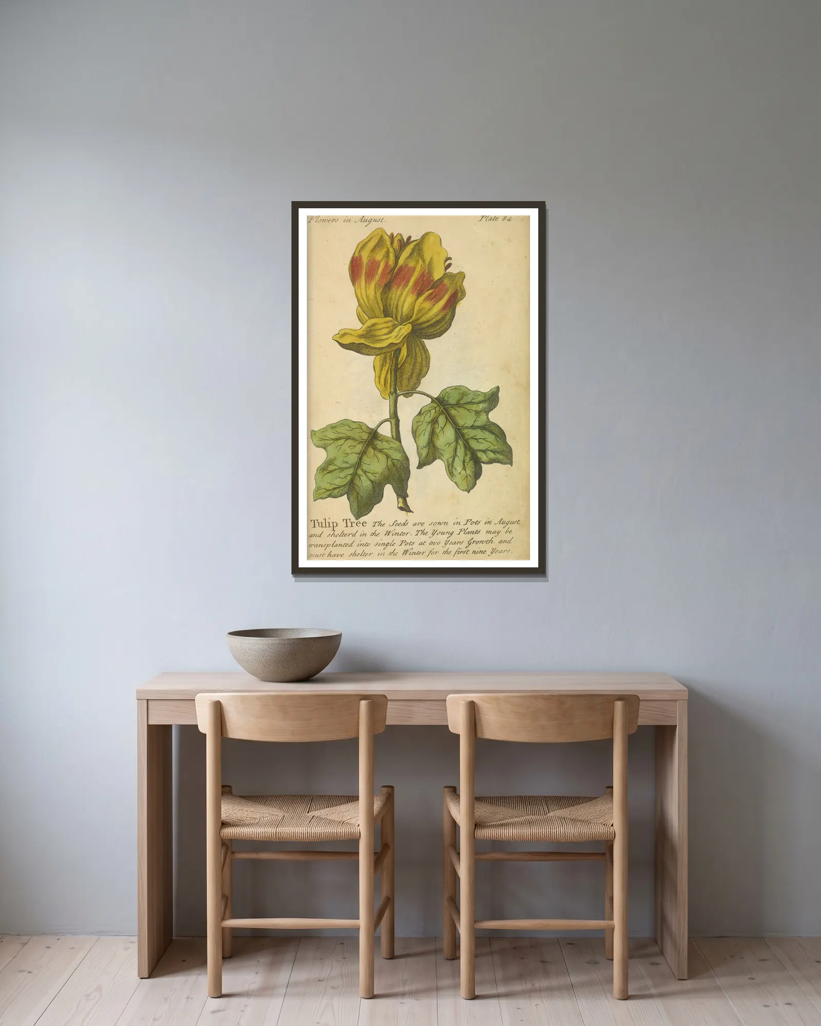 Tulip Tree av J. Duke inramad på en vägg