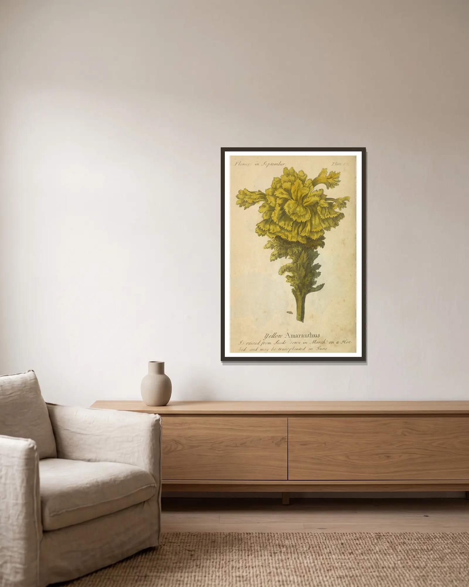 Yellow Amaranthus av J. Duke inramad på en vägg