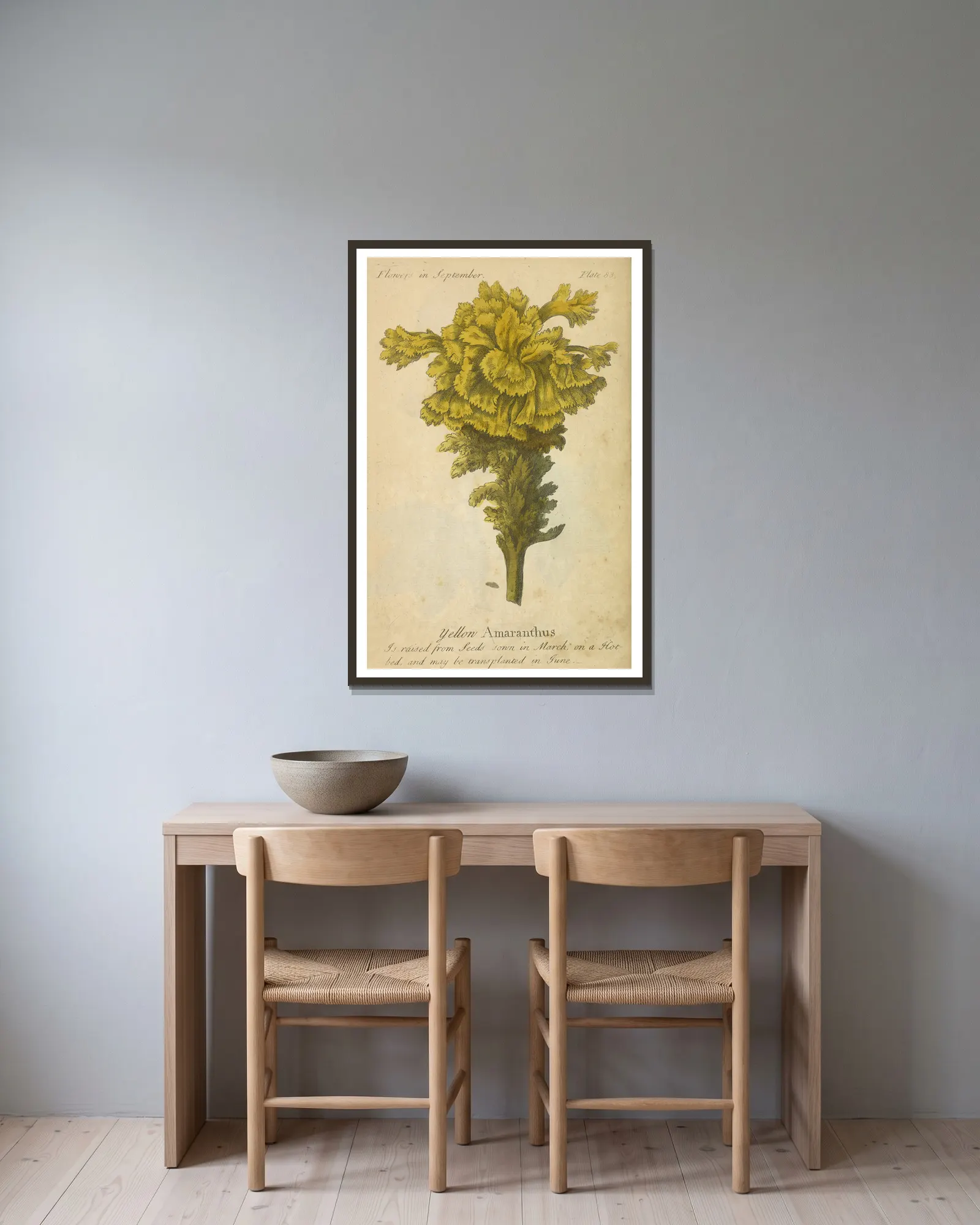 Yellow Amaranthus av J. Duke inramad på en vägg