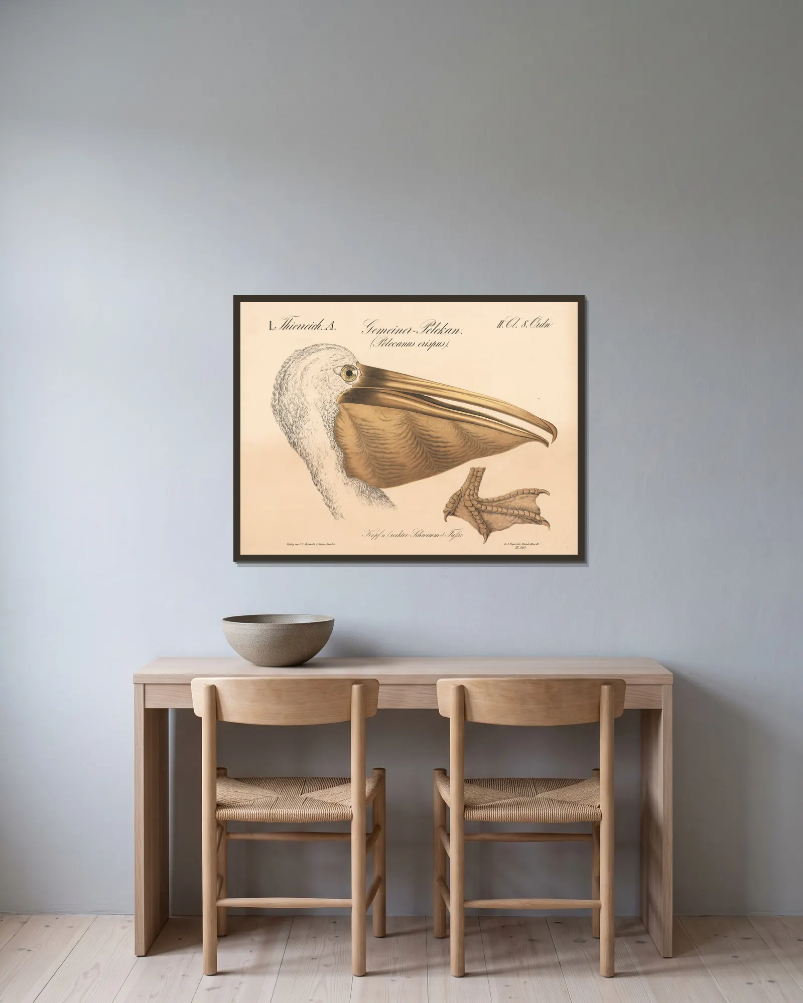 Gemeiner=Pelikan. (Pelecanus crispus) av H.J. Ruprecht inramad på en vägg