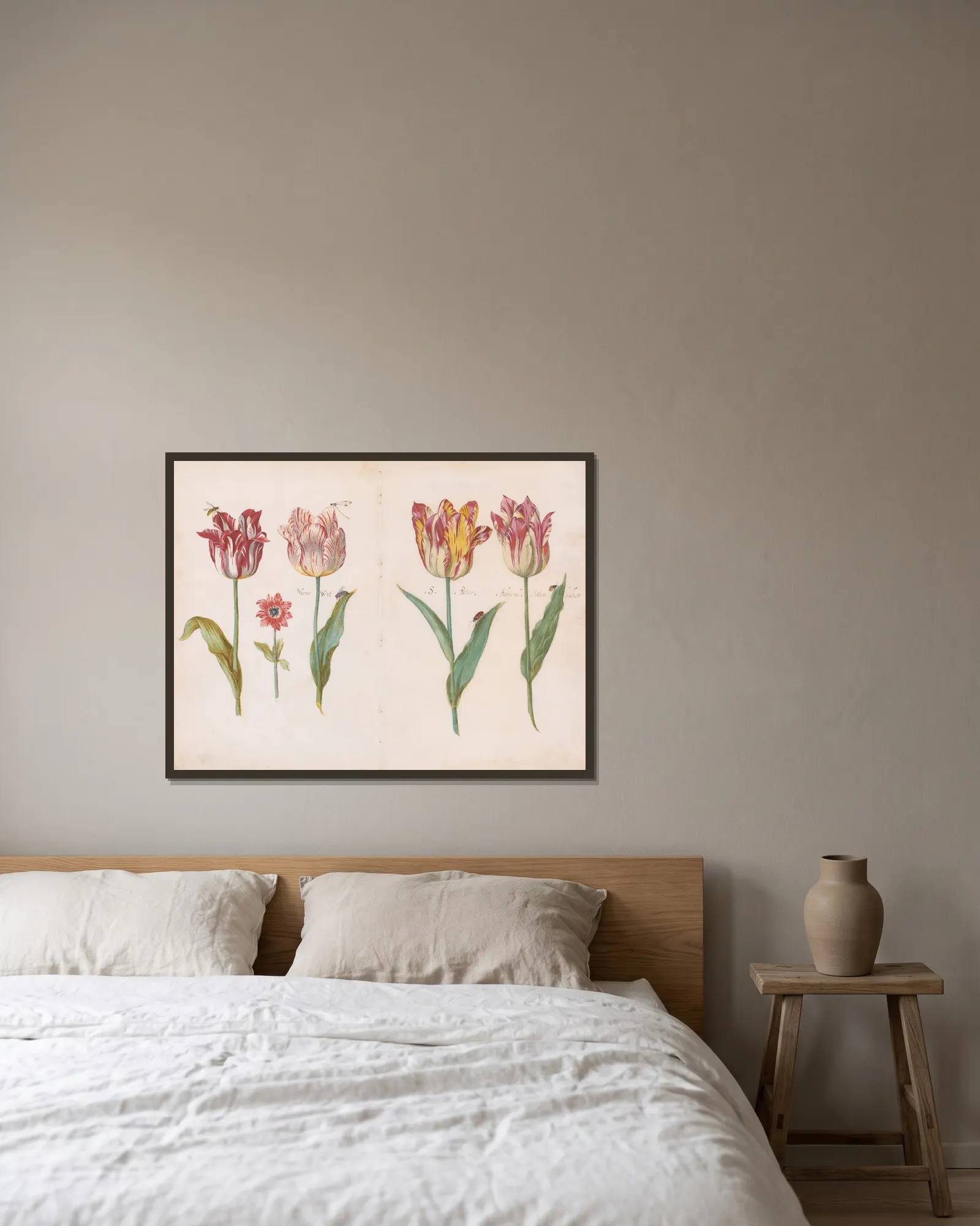 Sheet from a Tulip Book av Jacob Marrel inramad på en vägg