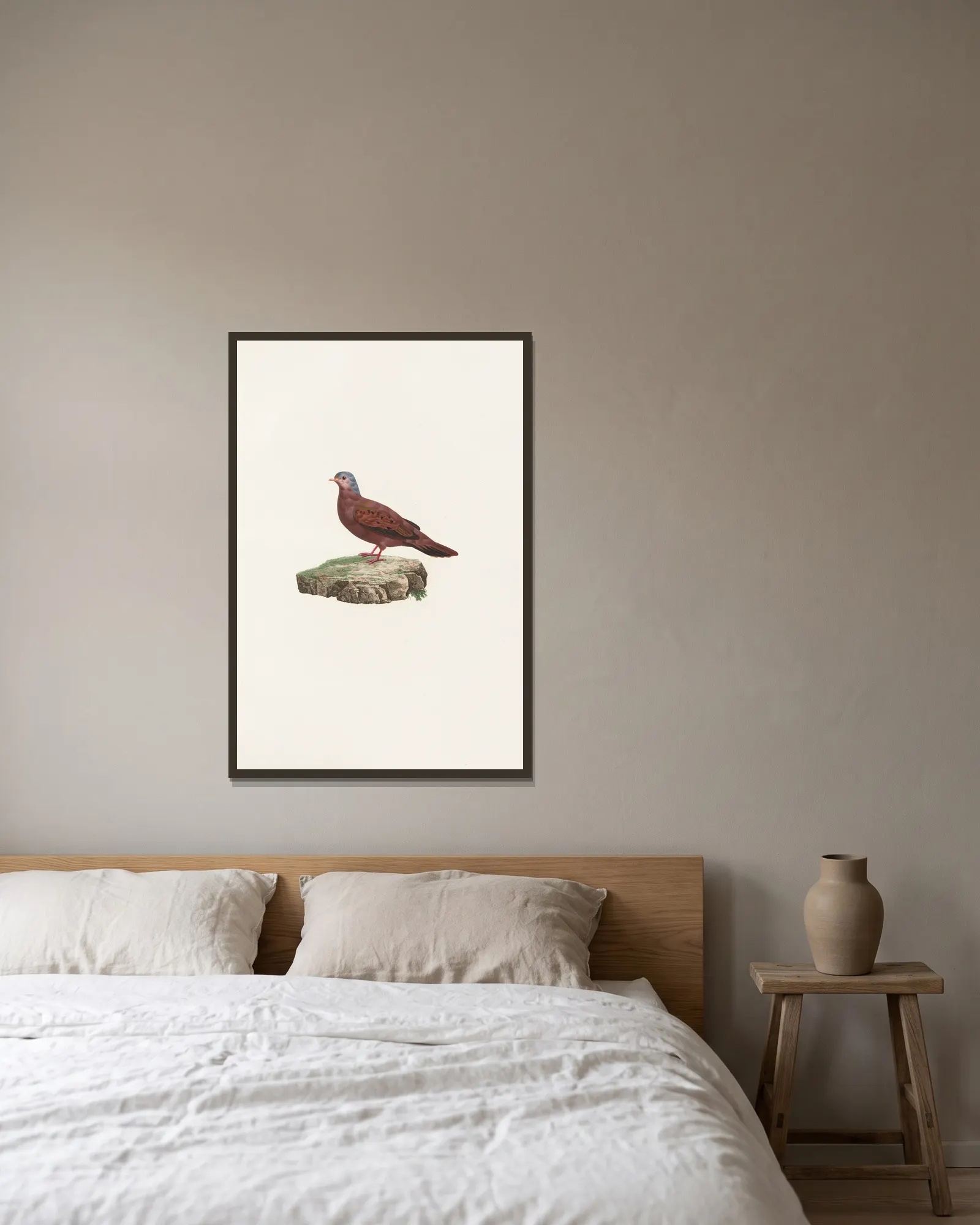 Les pigeons Pl.83 av Coenraad Jacob Temminck inramad på en vägg