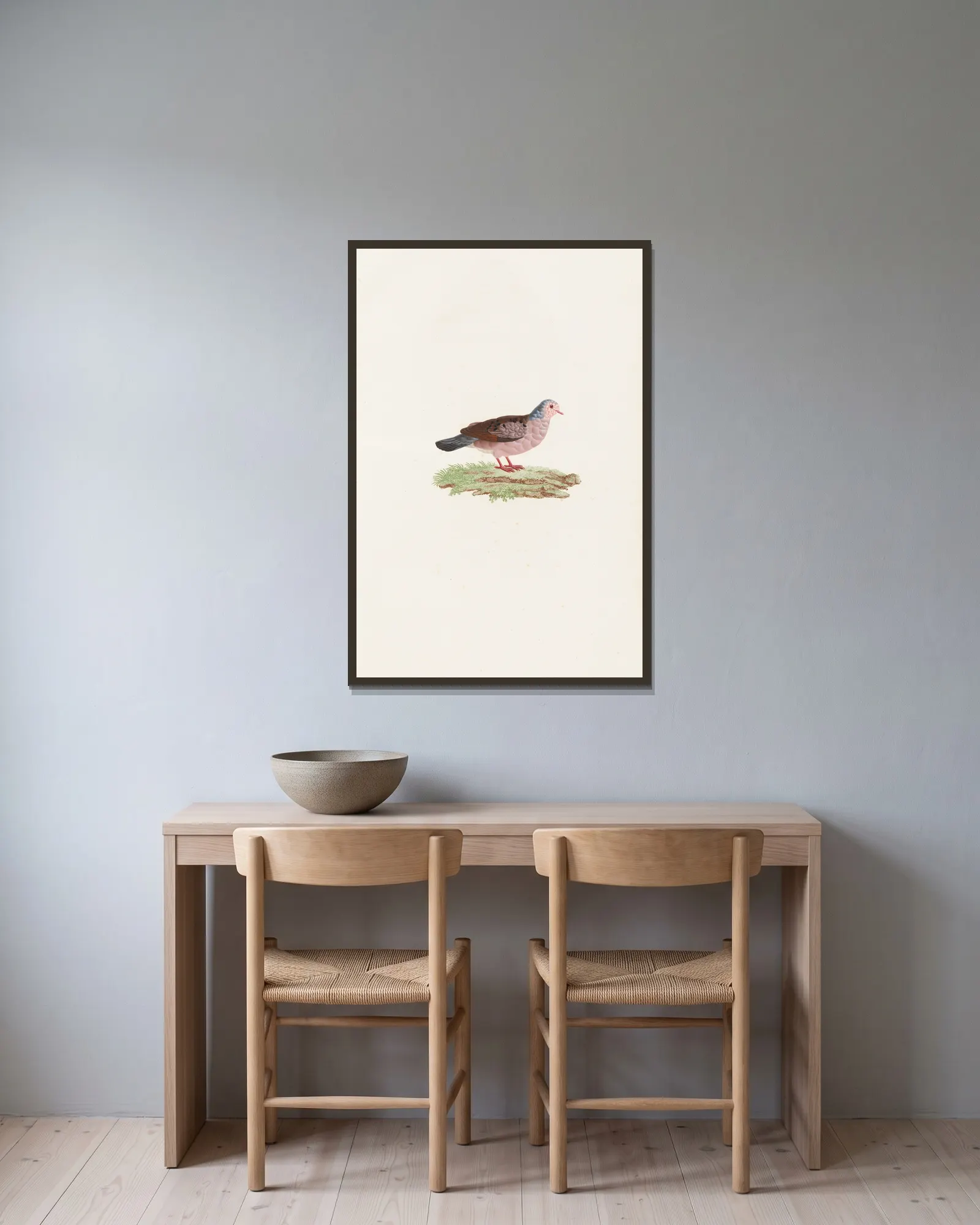 Les pigeons Pl.87 av Coenraad Jacob Temminck inramad på en vägg