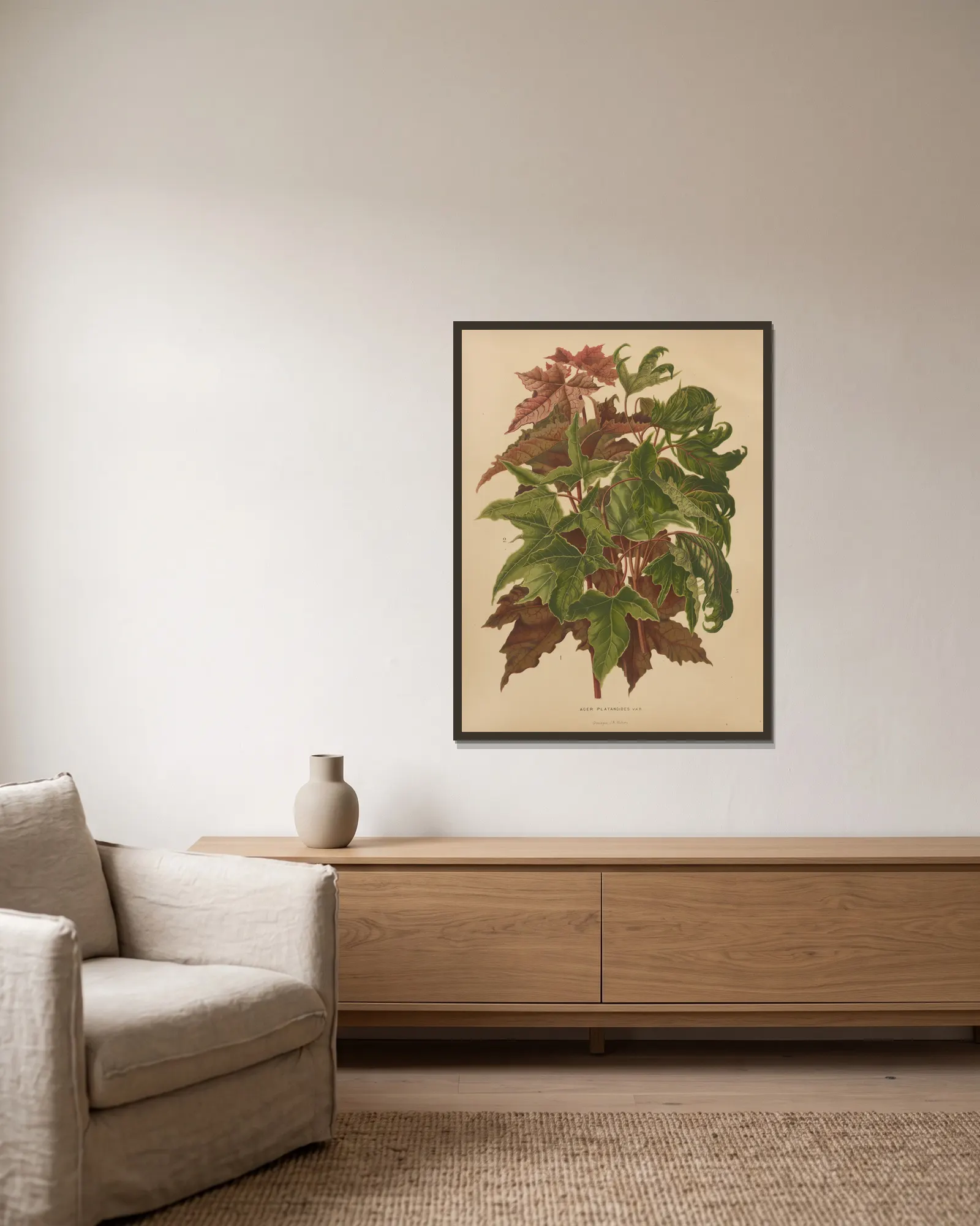 Acer Platanoides Var. av Abraham Jacobus Wendel inramad på en vägg