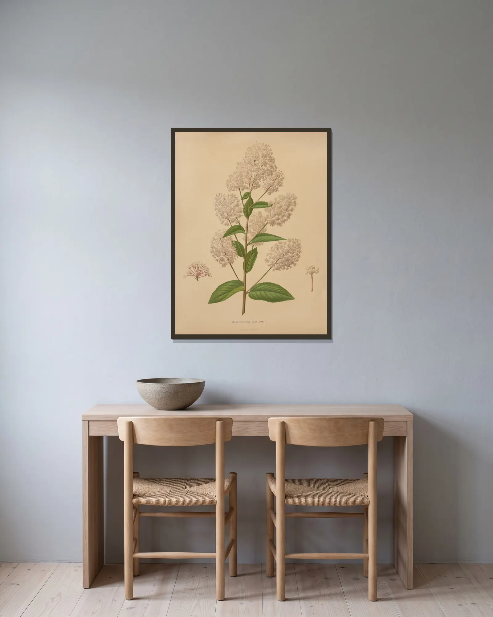 Ceanothus Hyb. Leon Simon av Abraham Jacobus Wendel inramad på en vägg