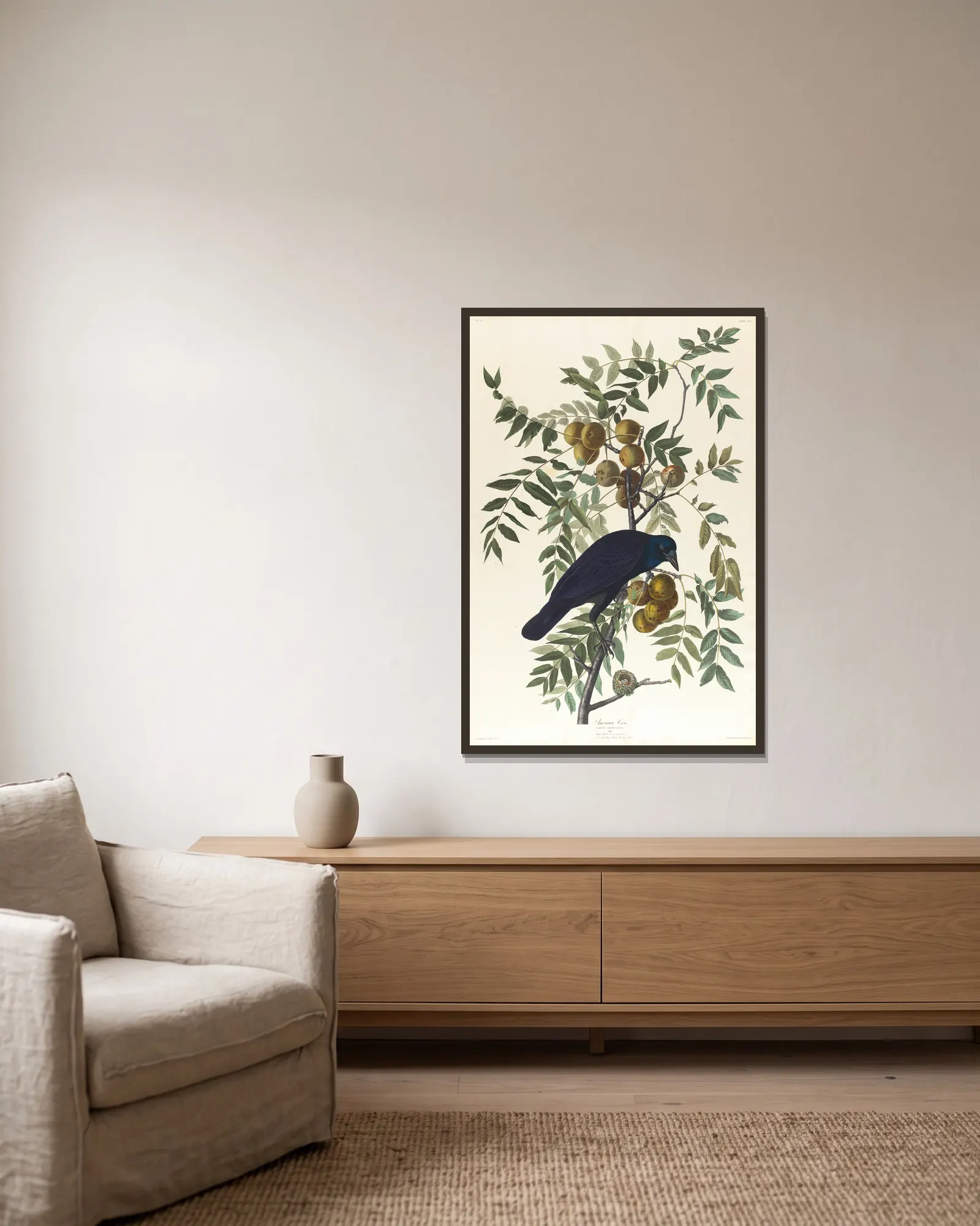 American crow av John James Audubon inramad på en vägg