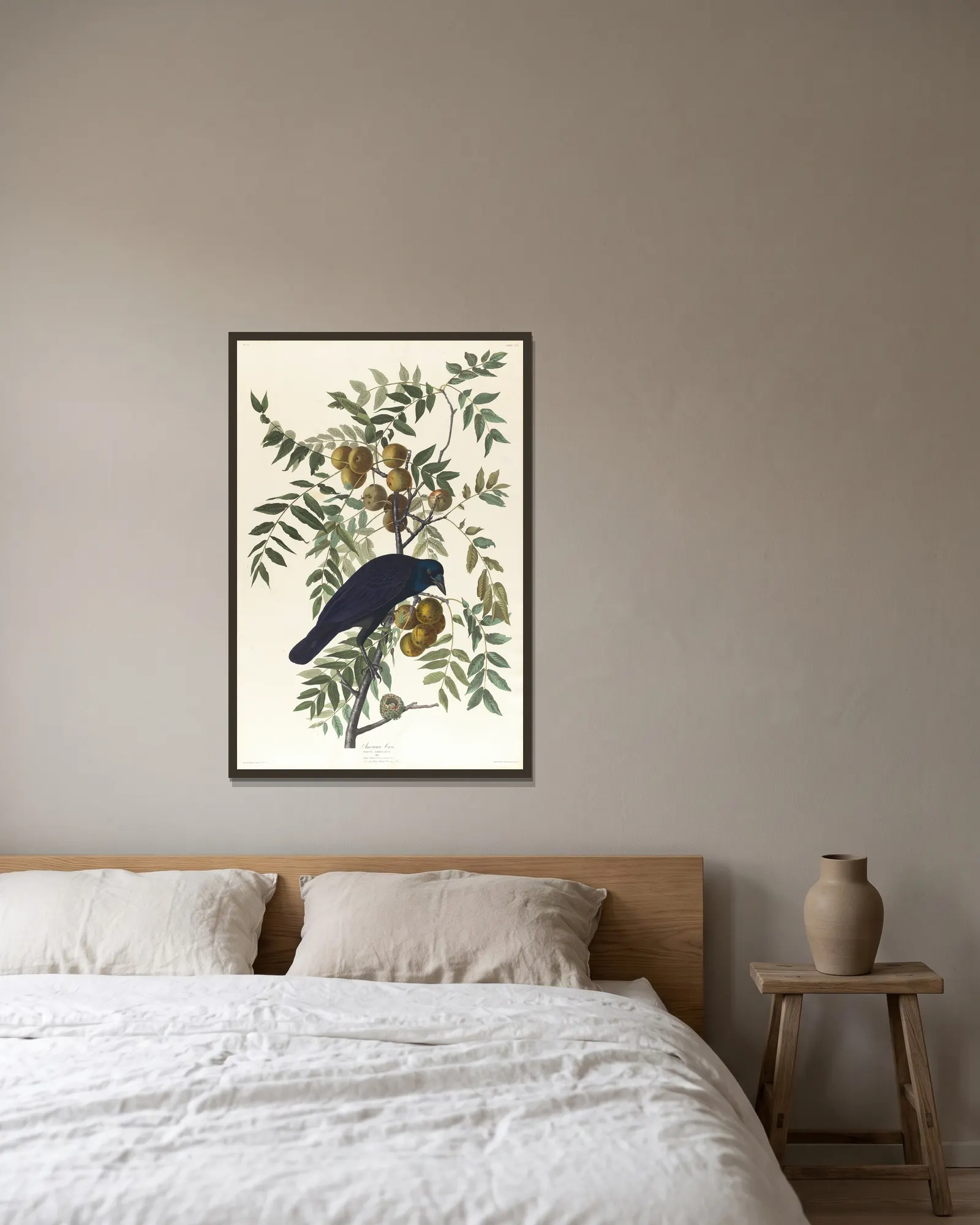 American crow av John James Audubon inramad på en vägg