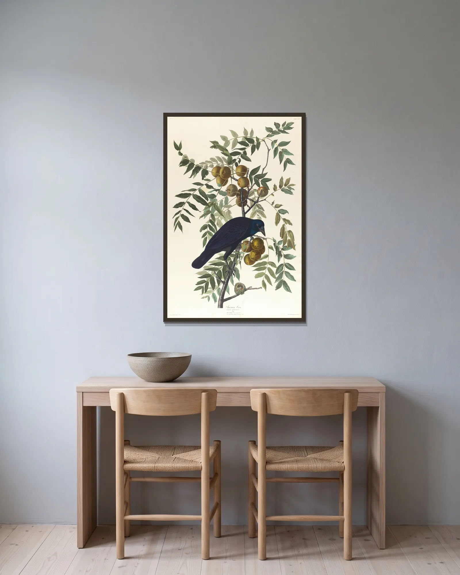American crow av John James Audubon inramad på en vägg
