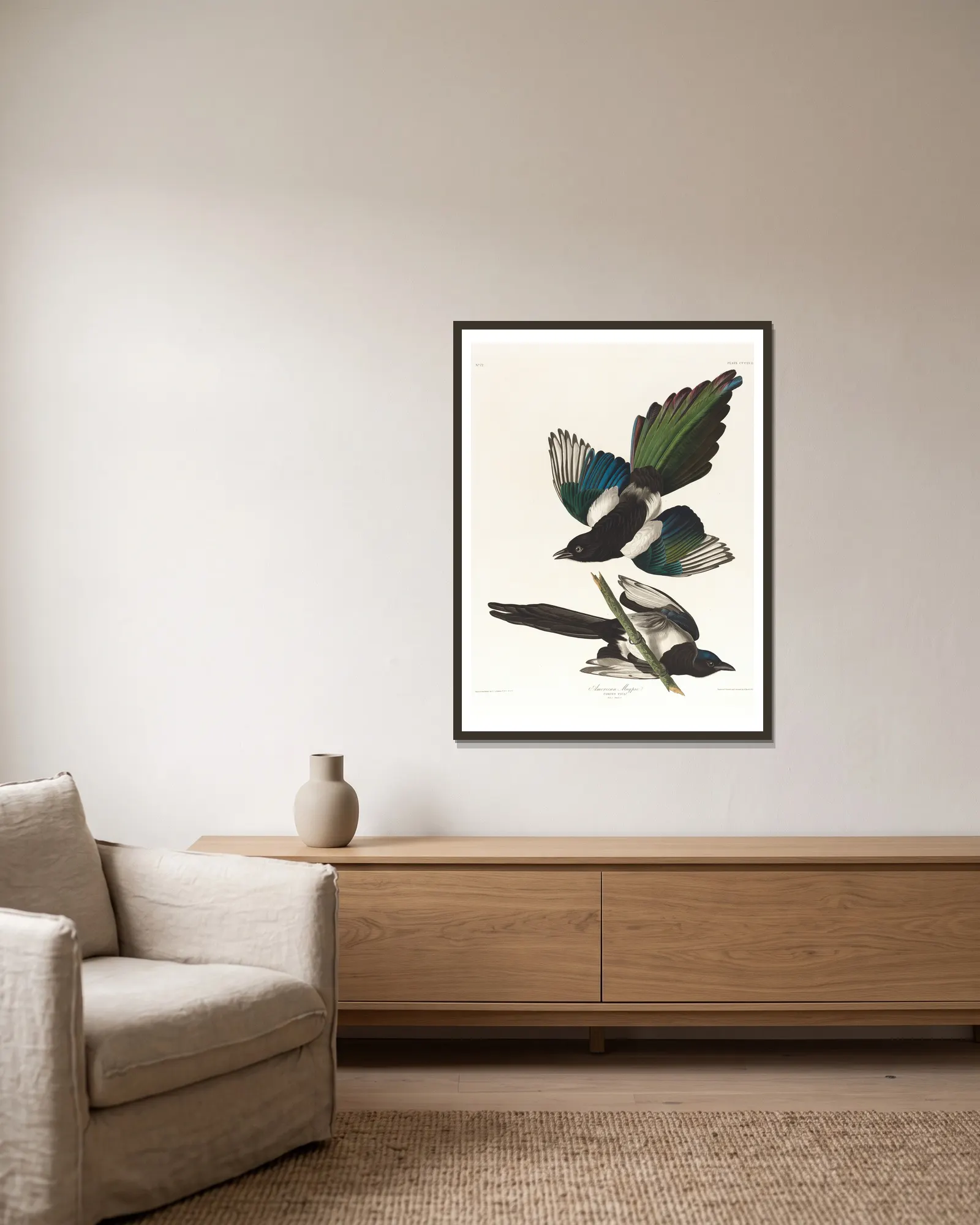 American magpie av John James Audubon inramad på en vägg