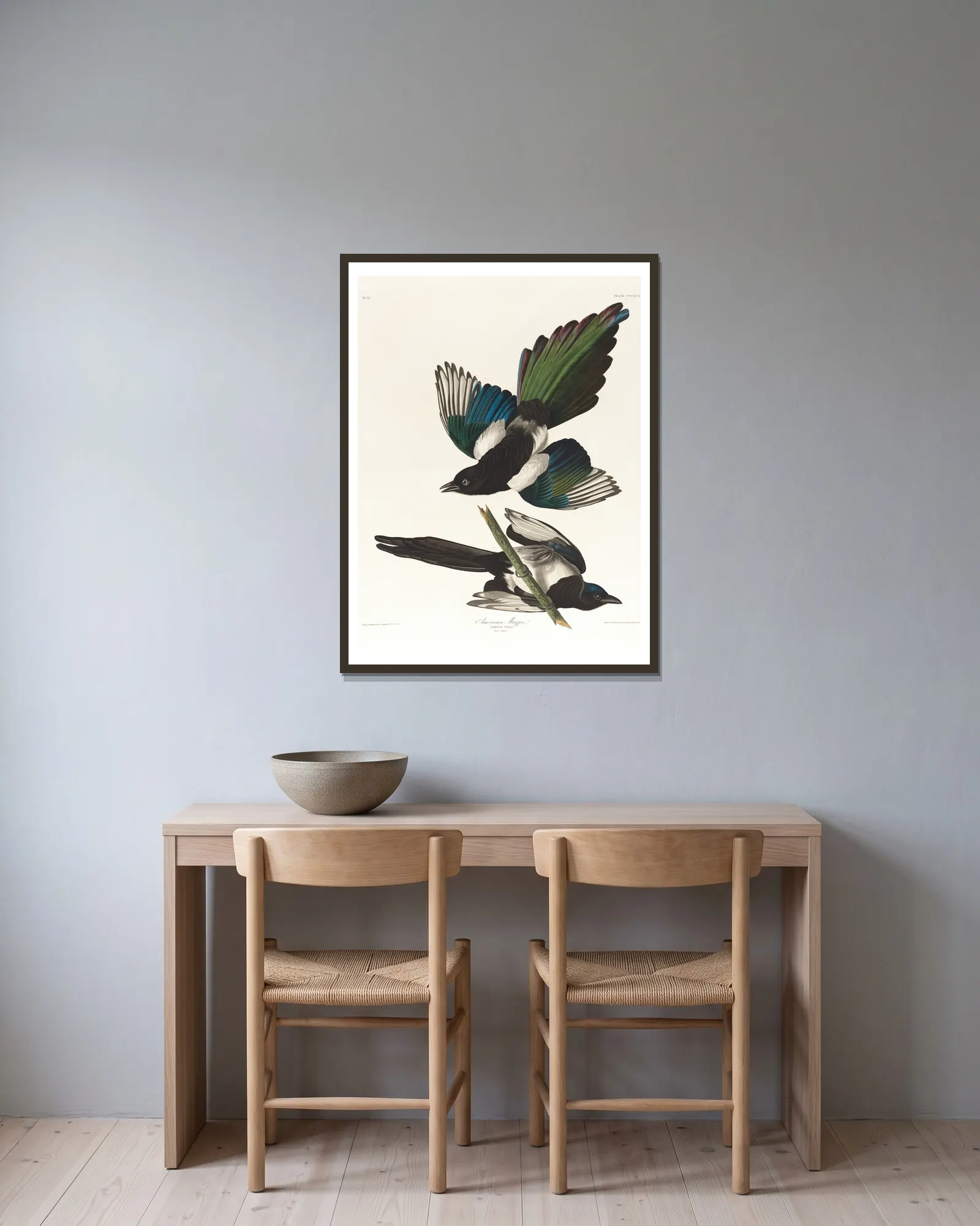 American magpie av John James Audubon inramad på en vägg