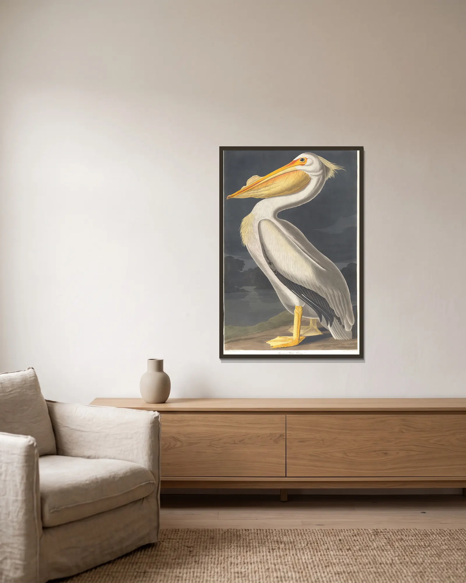 American white pelican av John James Audubon inramad på en vägg