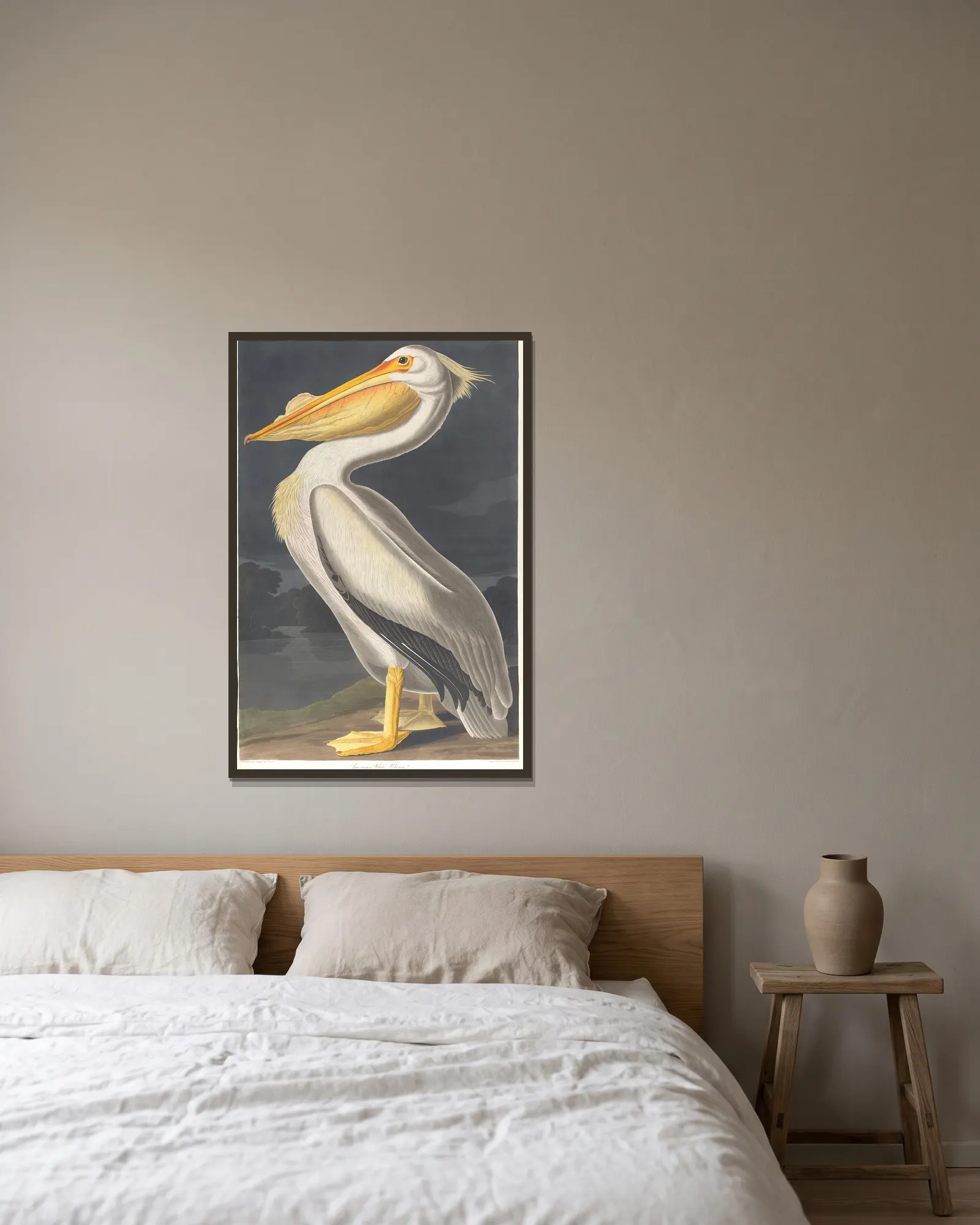 American white pelican av John James Audubon inramad på en vägg
