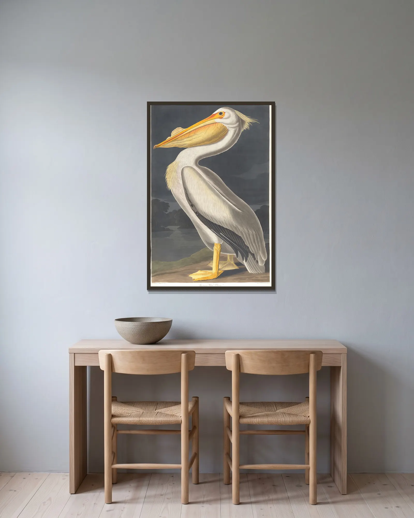American white pelican av John James Audubon inramad på en vägg