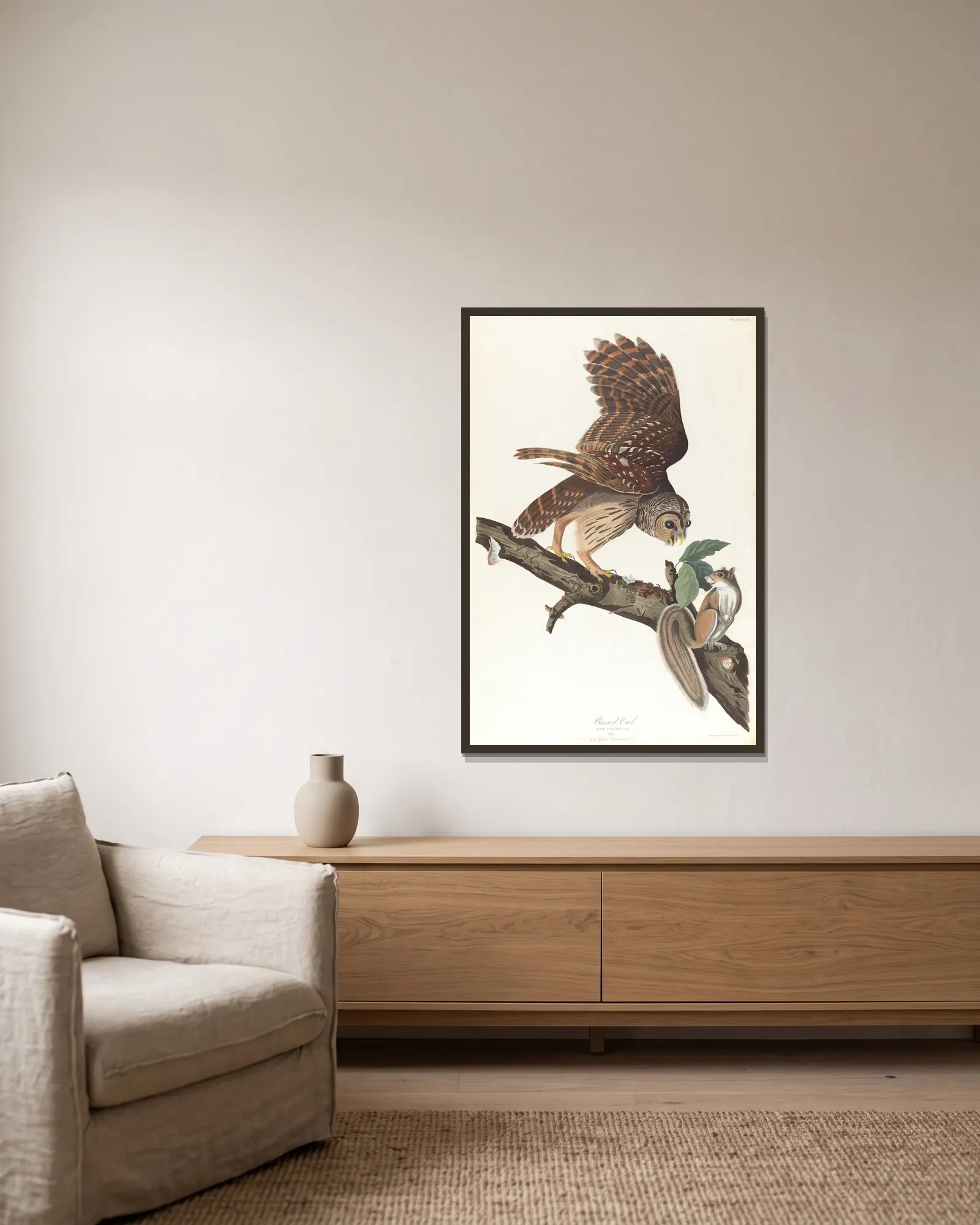 Barred owl av John James Audubon inramad på en vägg