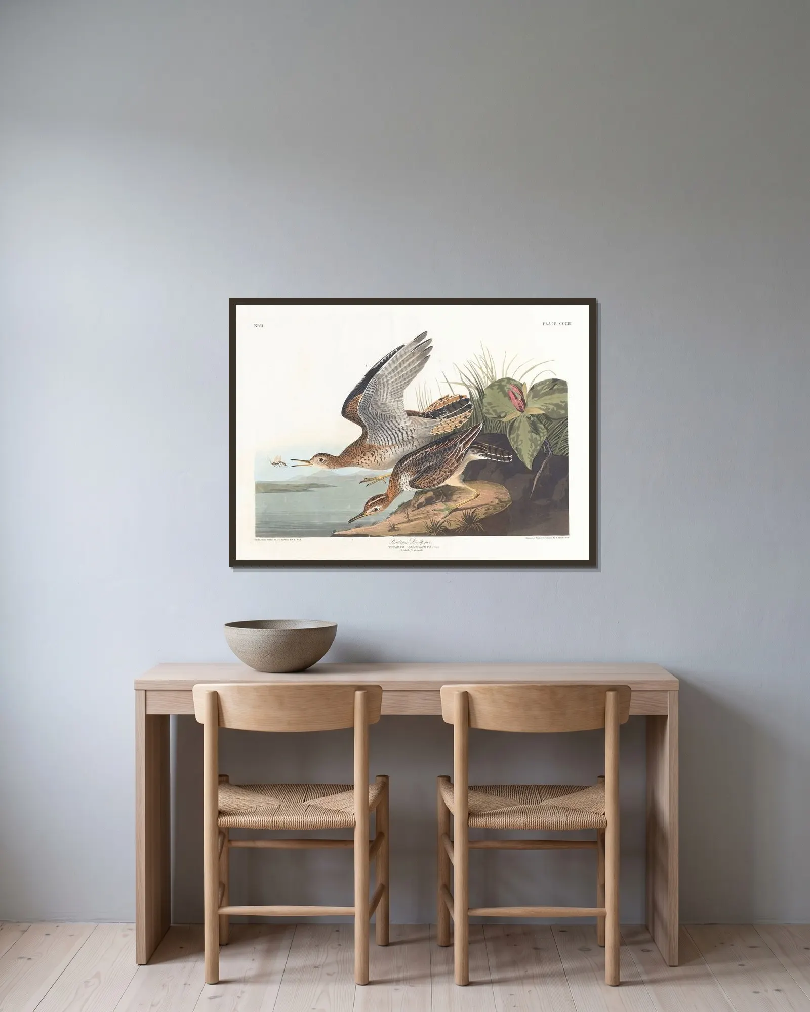 Bartram sandpiper av John James Audubon inramad på en vägg