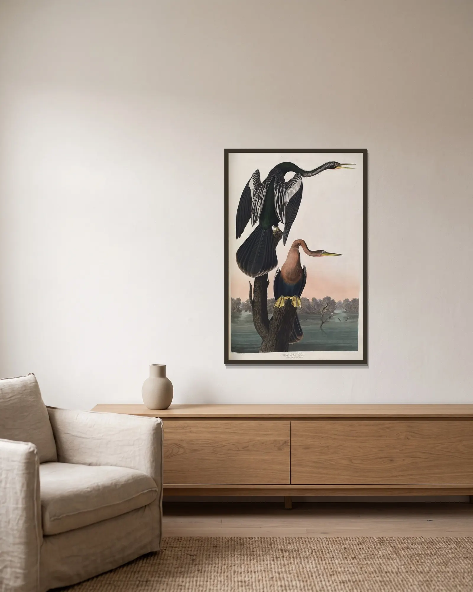 Black-bellied Darter av John James Audubon inramad på en vägg