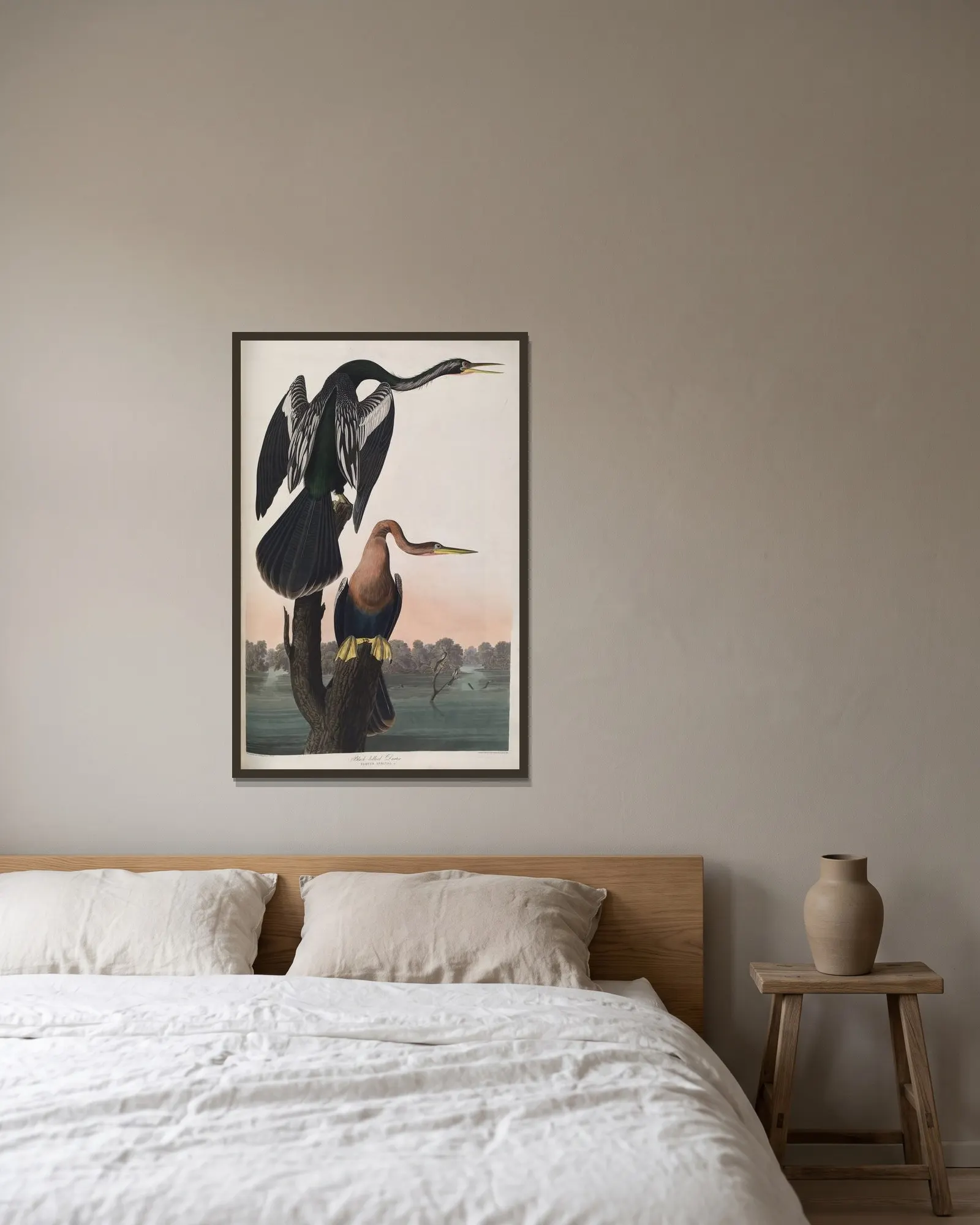 Black-bellied Darter av John James Audubon inramad på en vägg