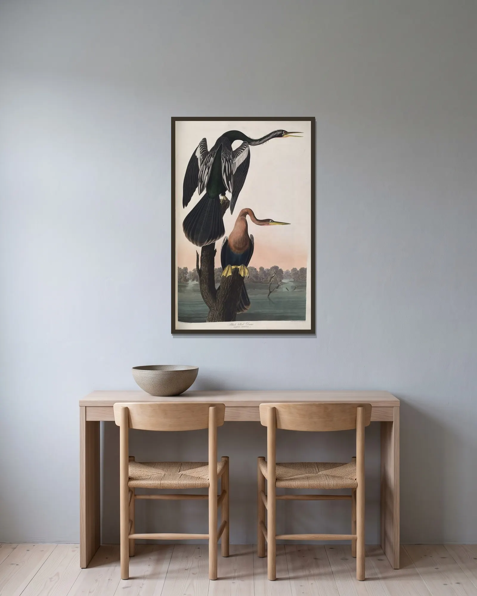 Black-bellied Darter av John James Audubon inramad på en vägg