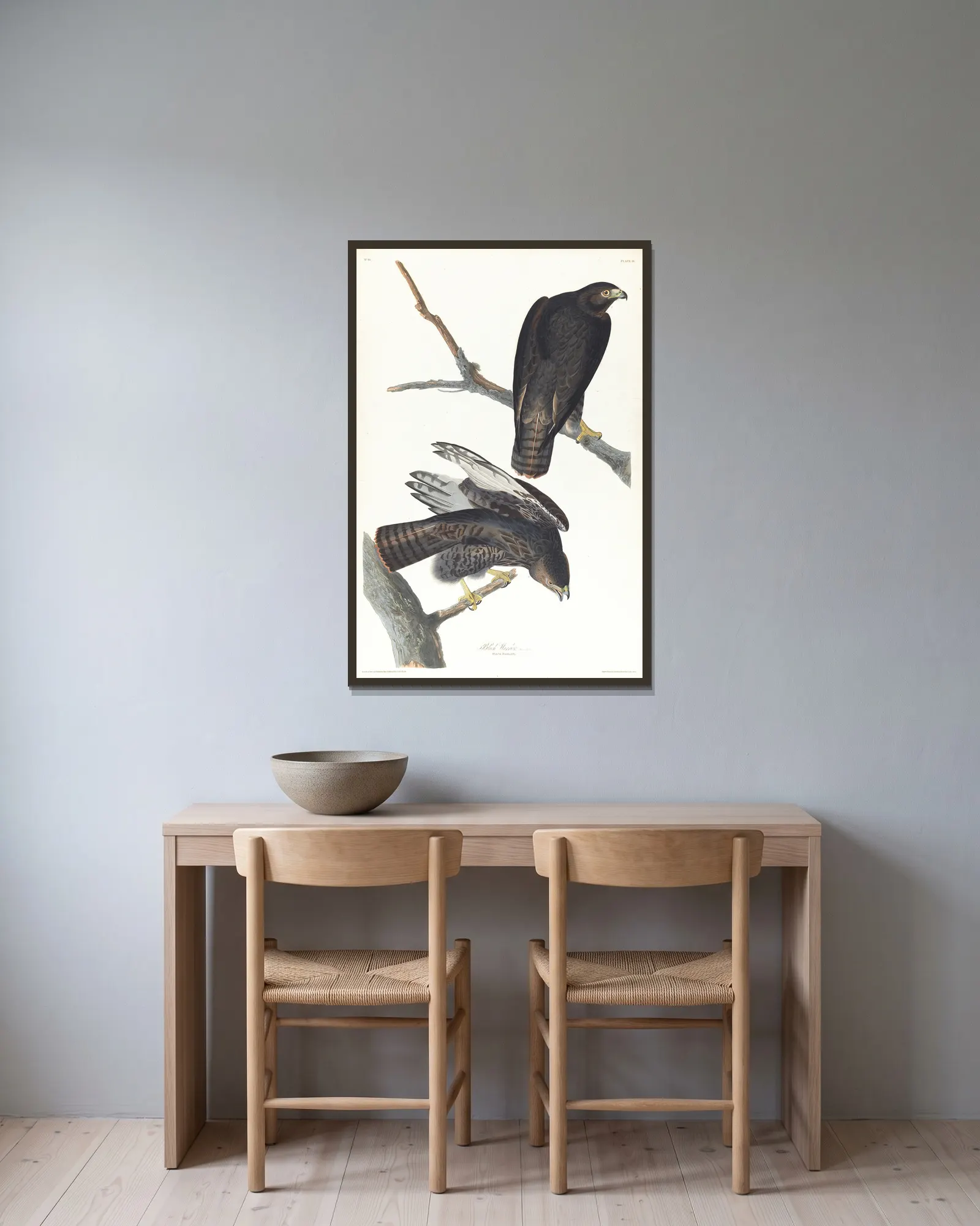 Black warrior av John James Audubon inramad på en vägg