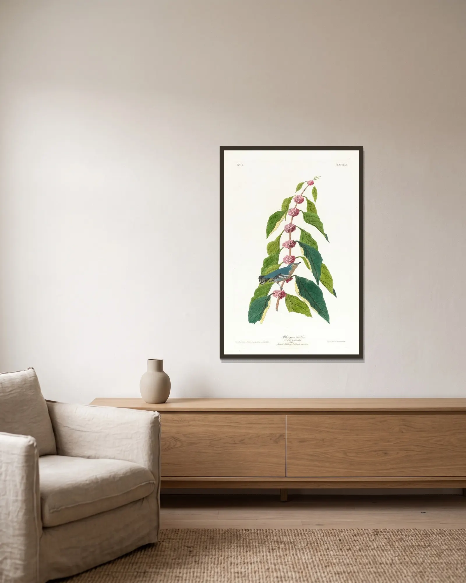Blue-green warbler av John James Audubon inramad på en vägg