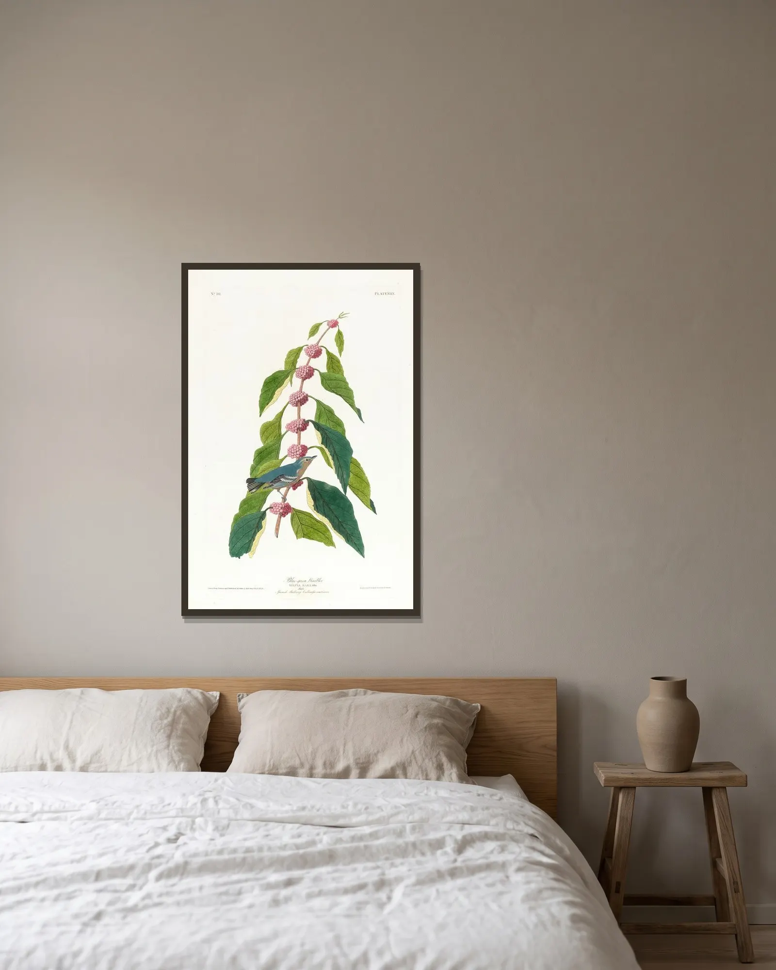 Blue-green warbler av John James Audubon inramad på en vägg