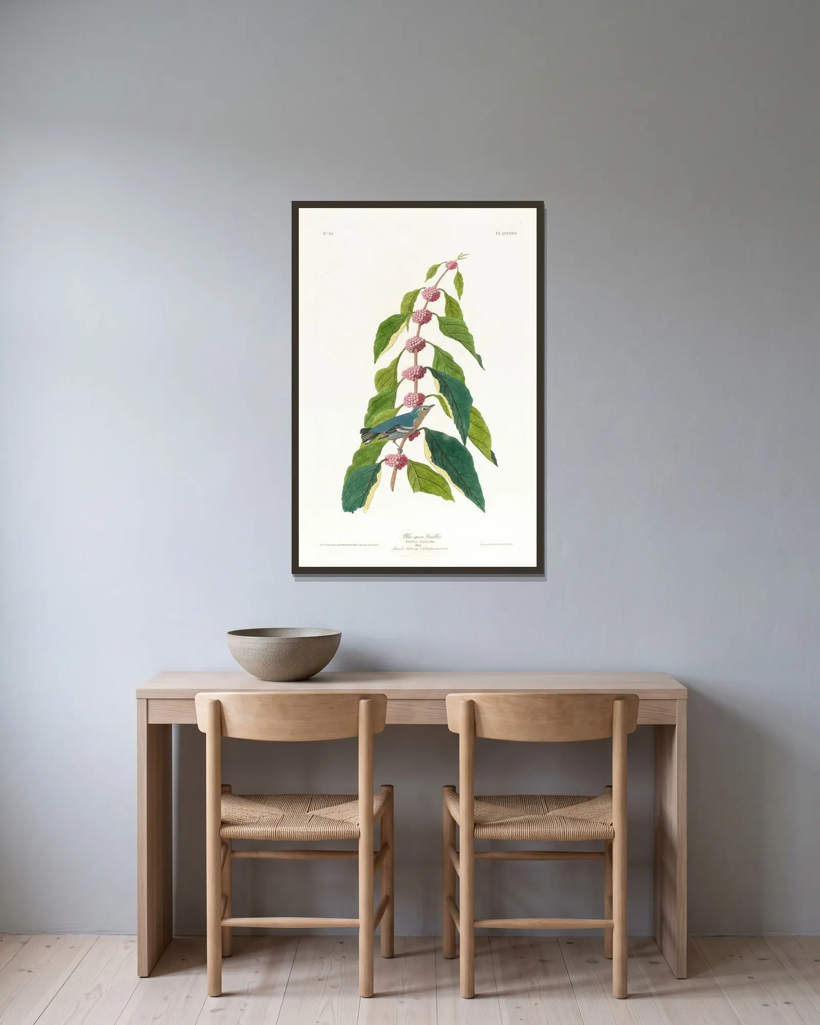 Blue-green warbler av John James Audubon inramad på en vägg
