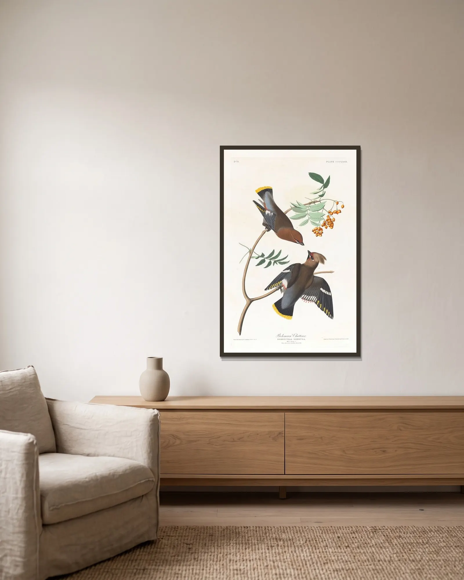 Bohemian chatterer av John James Audubon inramad på en vägg