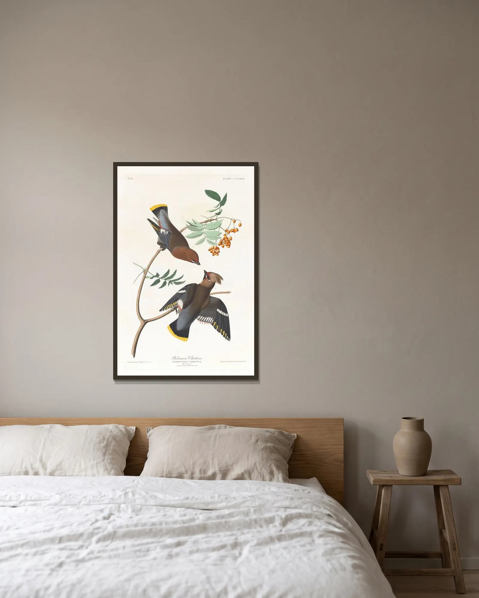 Bohemian chatterer av John James Audubon inramad på en vägg