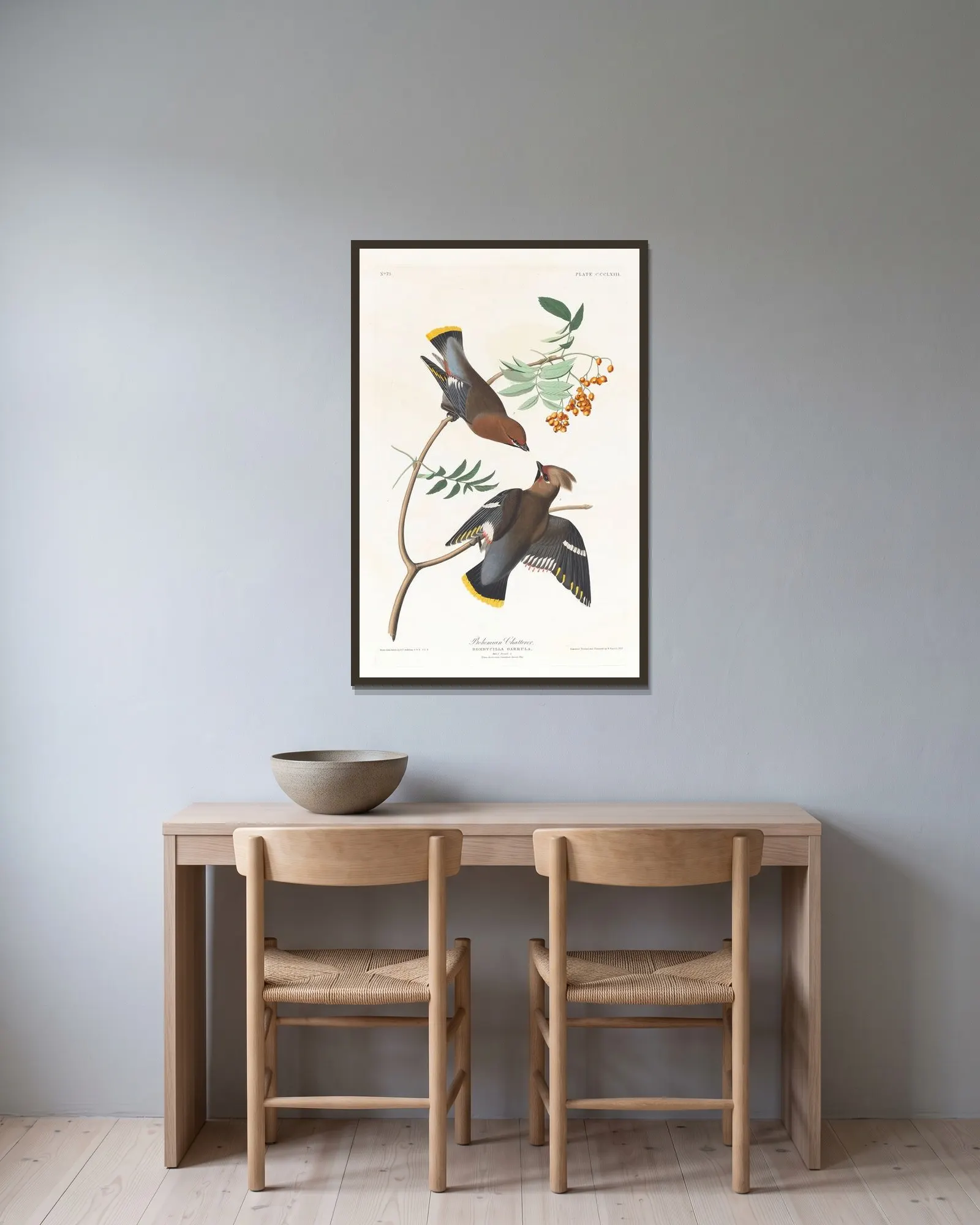 Bohemian chatterer av John James Audubon inramad på en vägg