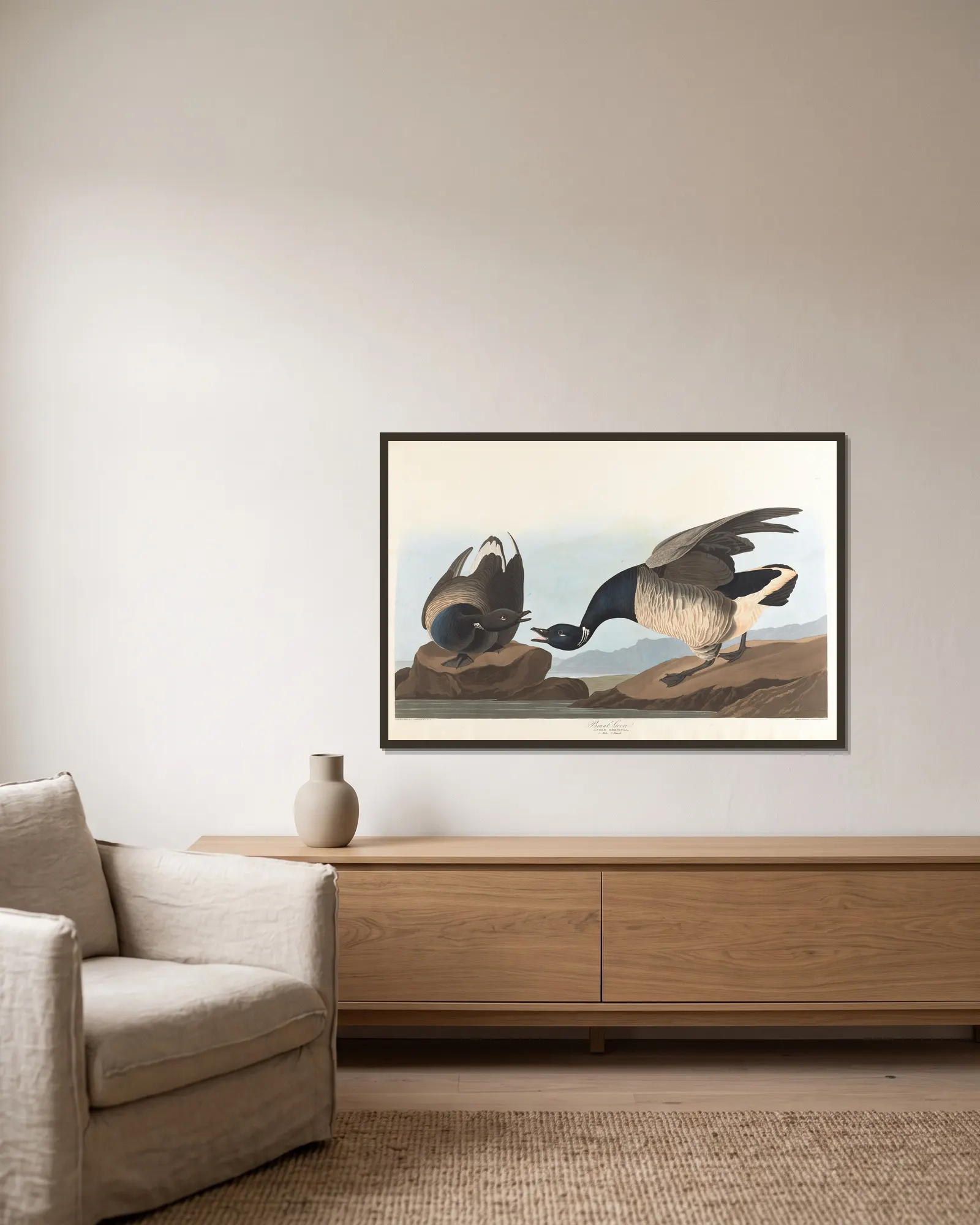 Brant goose av John James Audubon inramad på en vägg